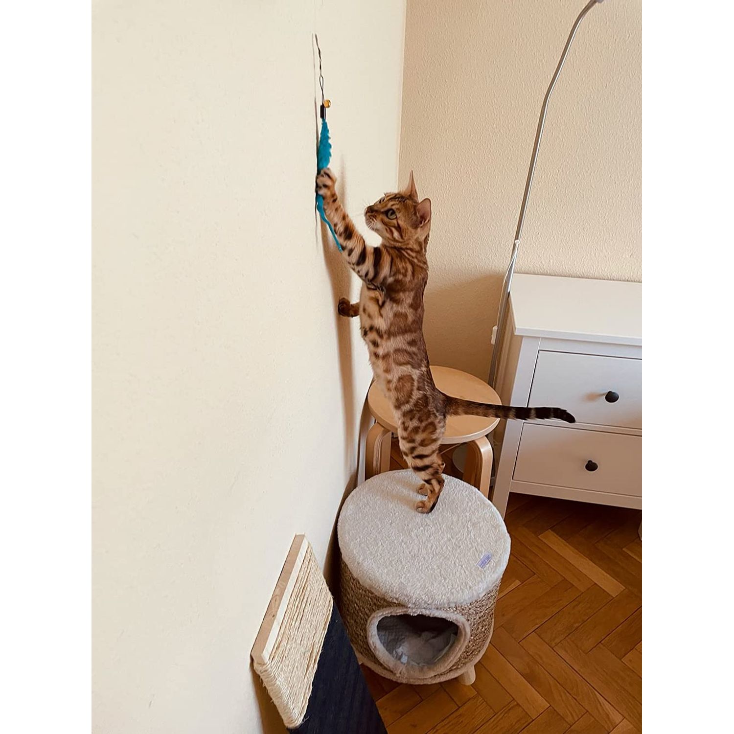 24 PCS Cat Worm Toy Refills Cat Wand Toy Replacement Interactive Cat Wand Toy Accessories Cat Feather Worm Teaser Refills Attachment for Cat Fishing Pole Toy Worm Cat Toy Teaser for Indoor Cats Kitten