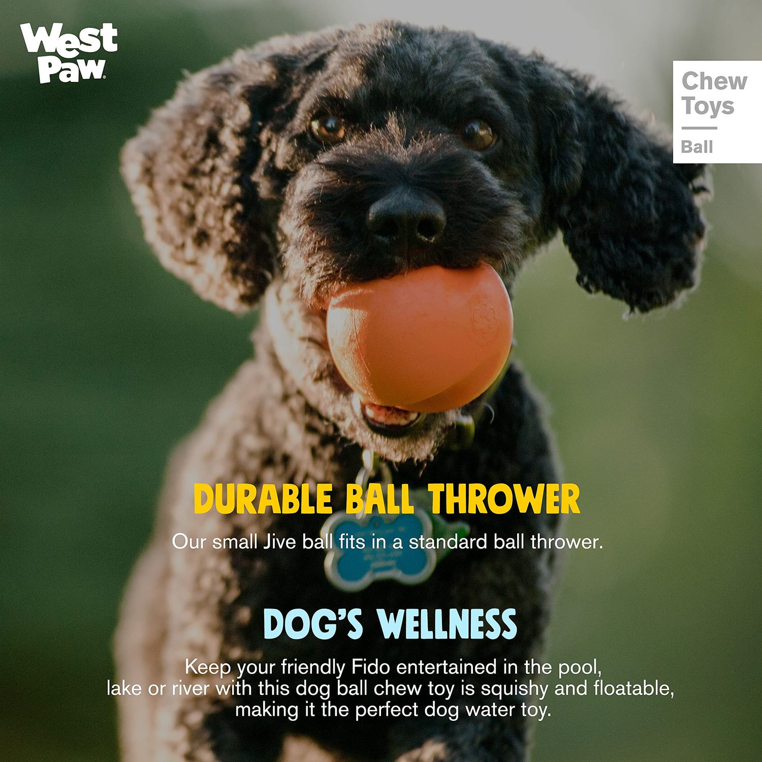 WEST PAW Zogoflex Jive Ball Dog Chew Toy – Bouncing Toys for Dogs, Fetch, Catch, Chewing, Play – Floatable, Recyclable Balls – Latex-Free, Non-Toxic, Dishwasher Safe Dog Toy, X-Small 2", Aqua Blue
