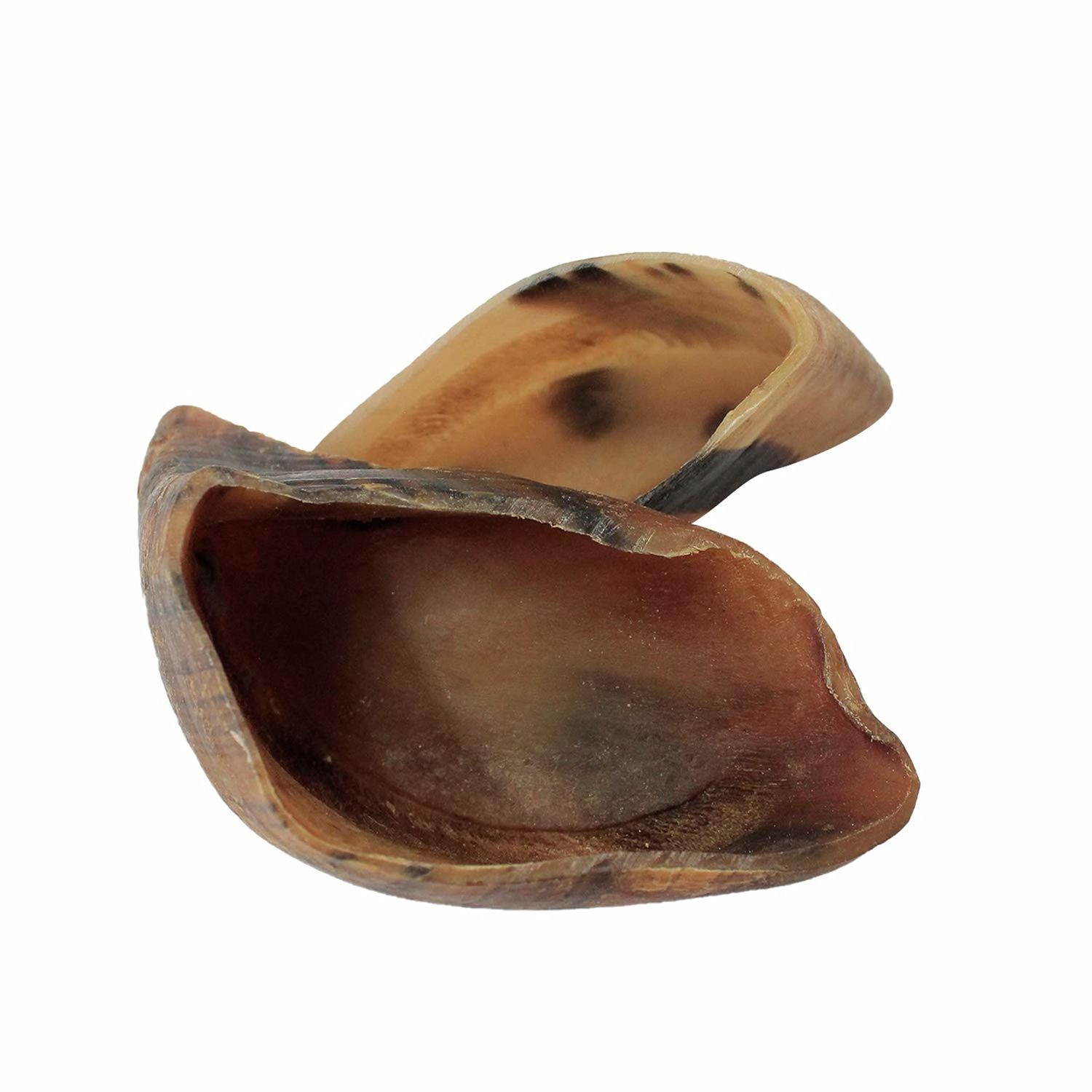 Downtown Pet Supply Dog Bones - Cow Hooves for Dogs Made in USA - Dog Dental Treats & Rawhide Free Dog Chews - Bully Sticks Alternative - Dog Chew Bones - Grass-Fed Beef Hooves - Plain - 10 Pack