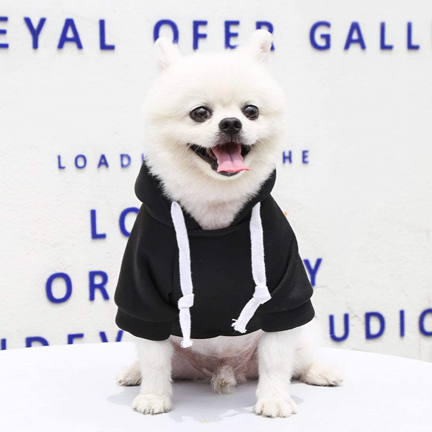 PETCARE Small Dog Sweater Hoodies Pet Black Hooded Soft Fleece Sweatshirts with Pocket Fall Winter Puppy Cat Sweaters Warm Clothes for Small Dogs Shih Tzu Yorkies French Bulldog Outfits Costume