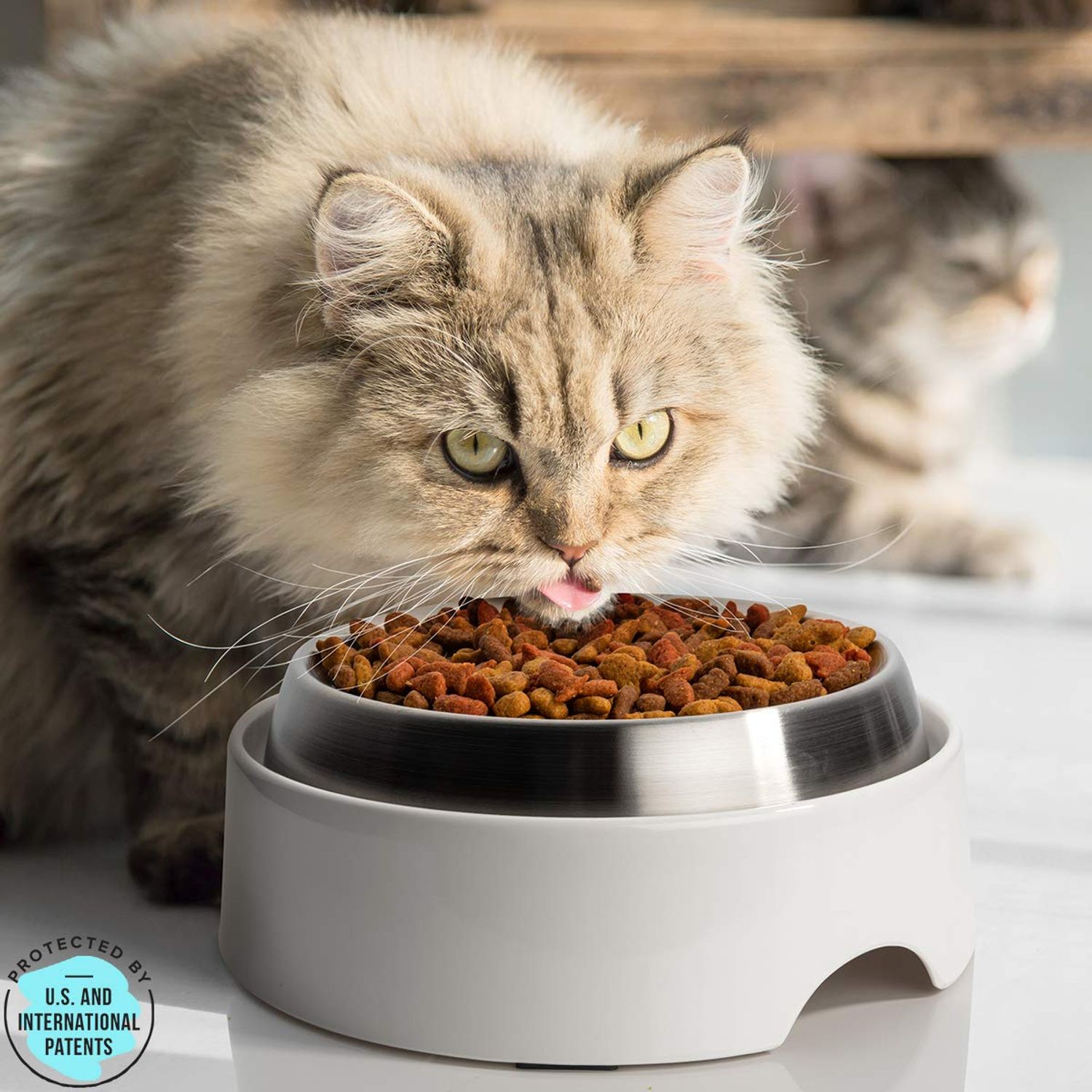 CatGuru Food Table for Cat Bowl, Non Slip Pet Feeding Station for Cat Food Bowls, Raised Stand for Food and Water Cat Bowls, Elevated Cat Feeder, Stress Free Pet Dish Stand (Marshnallow)