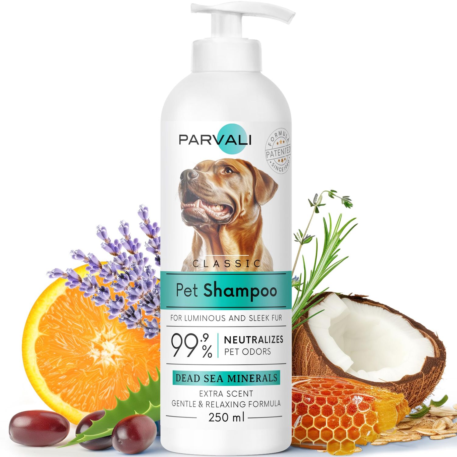 PARVALI Natural Dead Sea Classic Dog Shampoo (250 ml, 8.45 fl oz). Unique Odor-Neutralizing Blend, Minerals Rich, Anti-Oxidative, Antiseptic, and Calming Formula for Gentle and Easy Application.