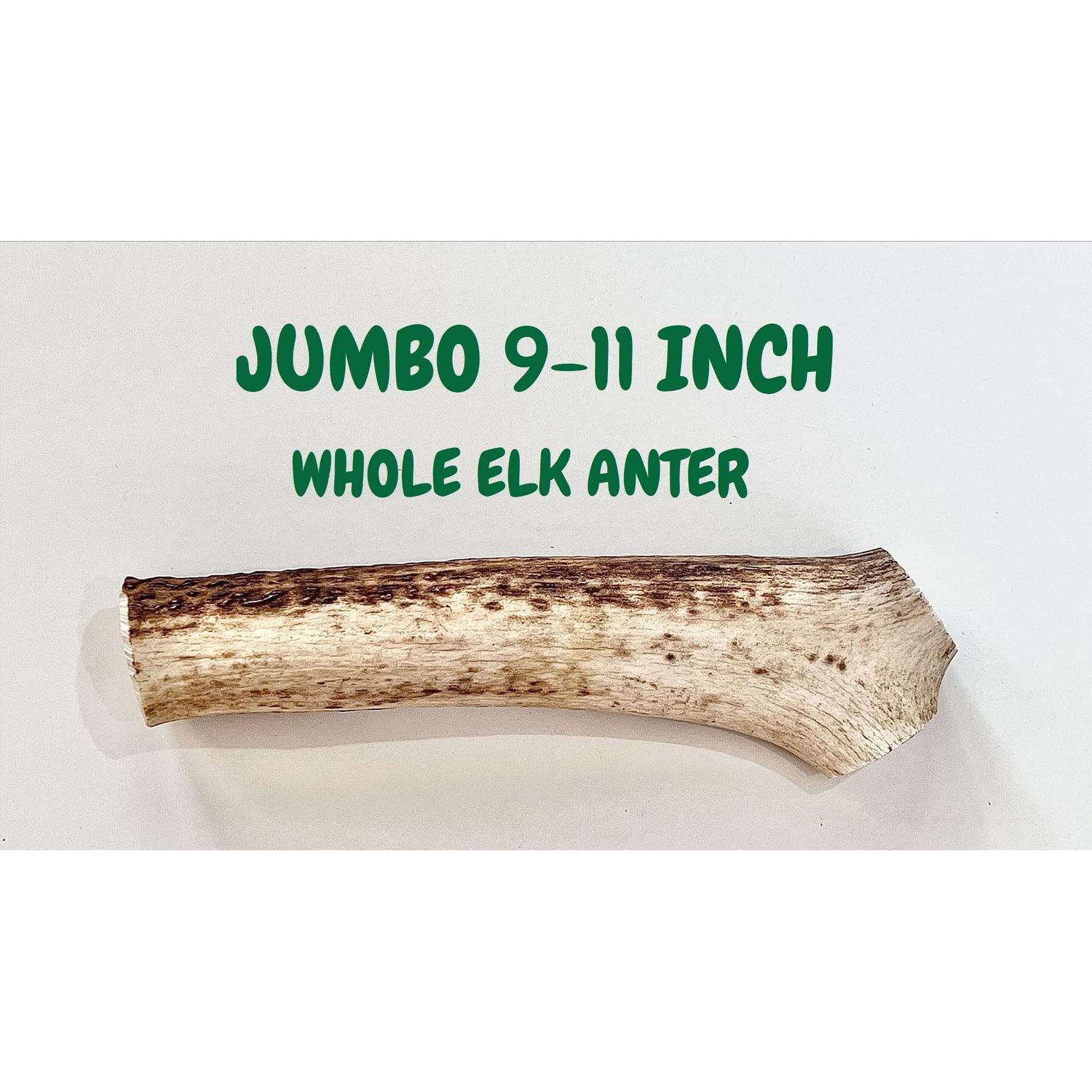 HEARTY CHEWS ELK Antler for Dogs | Natural Dog Chew | 100% Organic Grade A Antler Chew Bone, Supports Teeth & Gum Health, Long Lasting Dog Treat - Jumbo (About 9-11 inches)