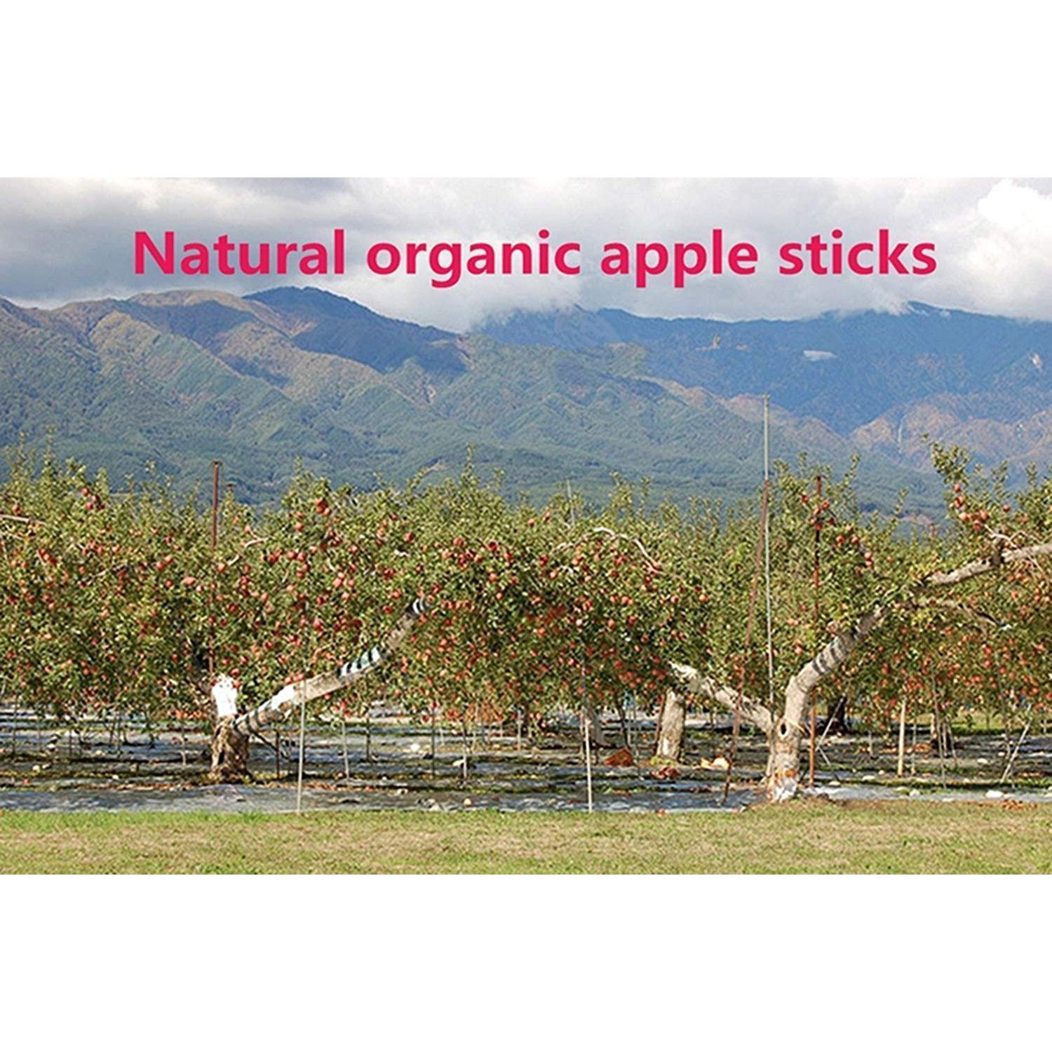 TAI JI 500g(18oz) Apple Sticks Small Animals Chew Toys for Chinchillas Guinea Pigs Rabbits Hamsters Squirrels