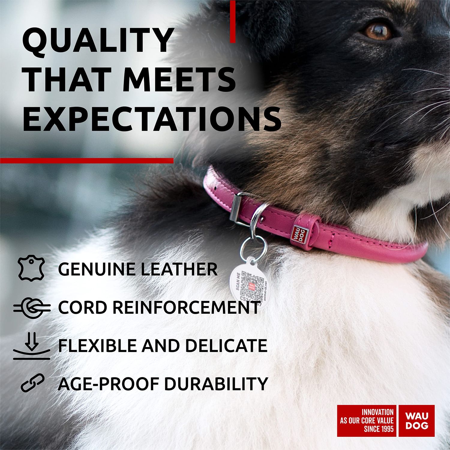 WAUDOG Ultra Soft Rolled Leather Dog Collar for Small Dogs - Soft Padded Dog Collars for Medium Dogs - Puppy Collars for Large Breed Dogs - Male and Female Dog Collar