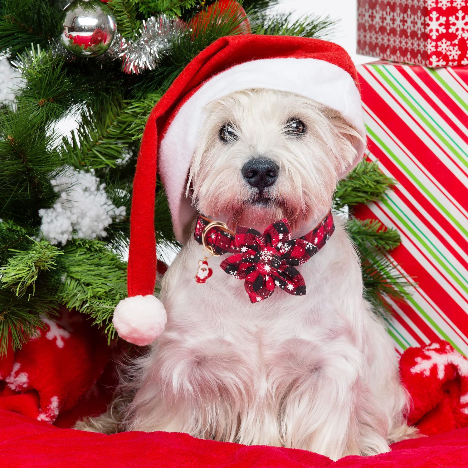 ADOGGYGO Christmas Floral Dog Collar - Adjustable Buffalo Plaid with Removable Flowers for Medium Dogs