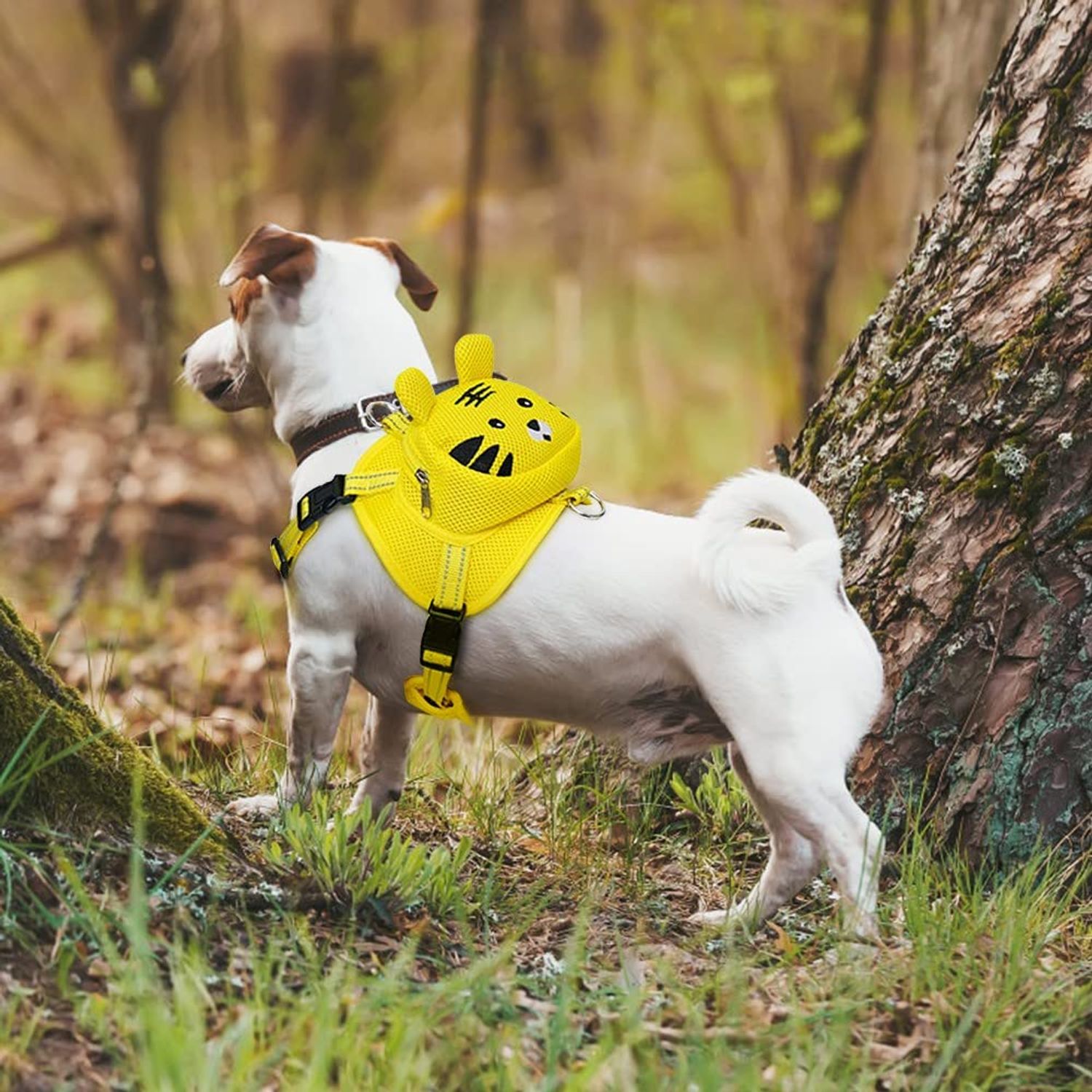 MiOYOOW Dog Harness Backpack, Breathable Pet Harness Vest Bag Cute Frog Pig Tiger Shape Lightweight Self Backpack for Pet Outdoor Training Walking Camping Hiking Travel