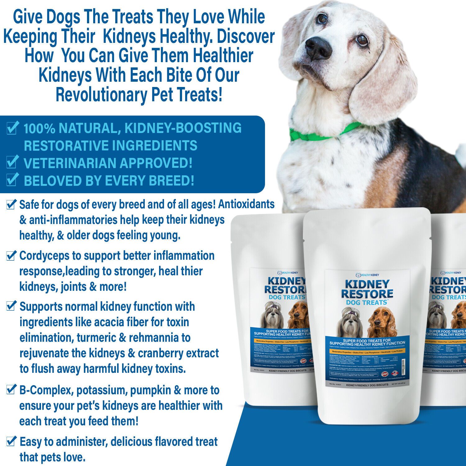 Kidney Restore Dog Treats Restorative Dog Treats for Kidney Disease, Low Protein