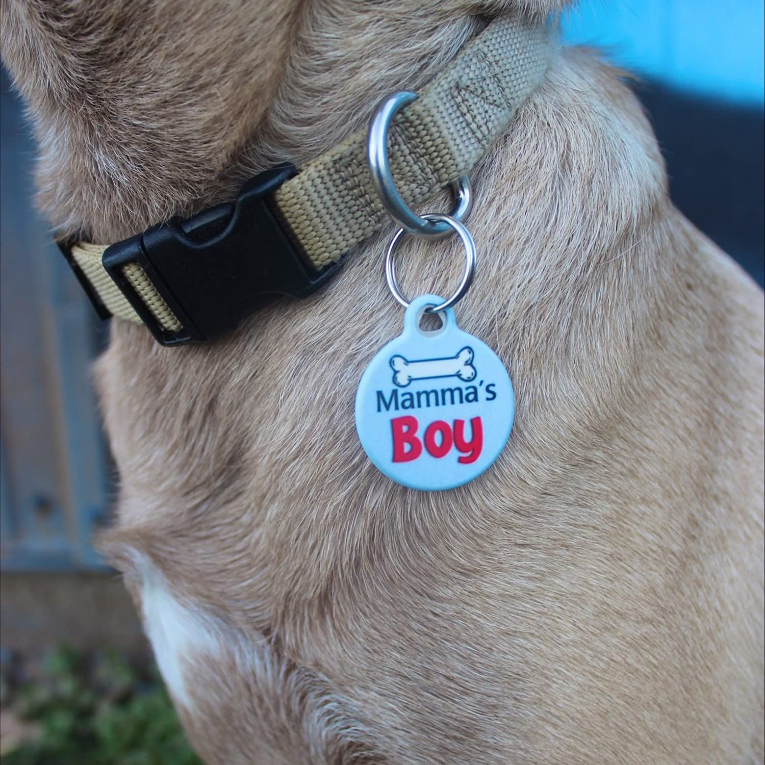 Dog Tag Art Mamma's Boy Personalized Pet ID Tag for Dogs and Cats, Large - 1.25" Diameter