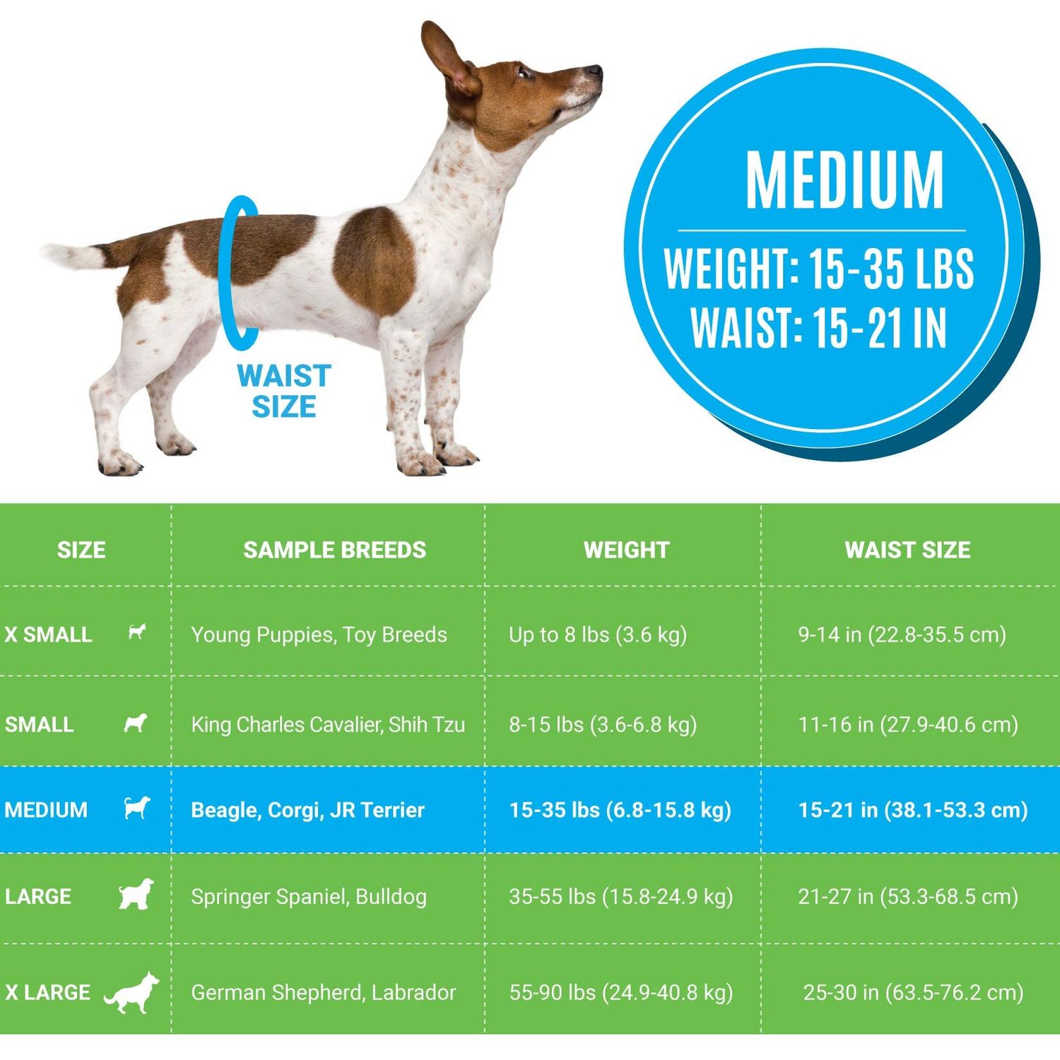 Bodhi Dog Disposable Male Dog Diapers | Super Absorbent Leak-Proof Fit | Premium Adjustable Male Dog Pee Wraps with Moisture Control & Wetness Indicator | 20 Count Medium Size