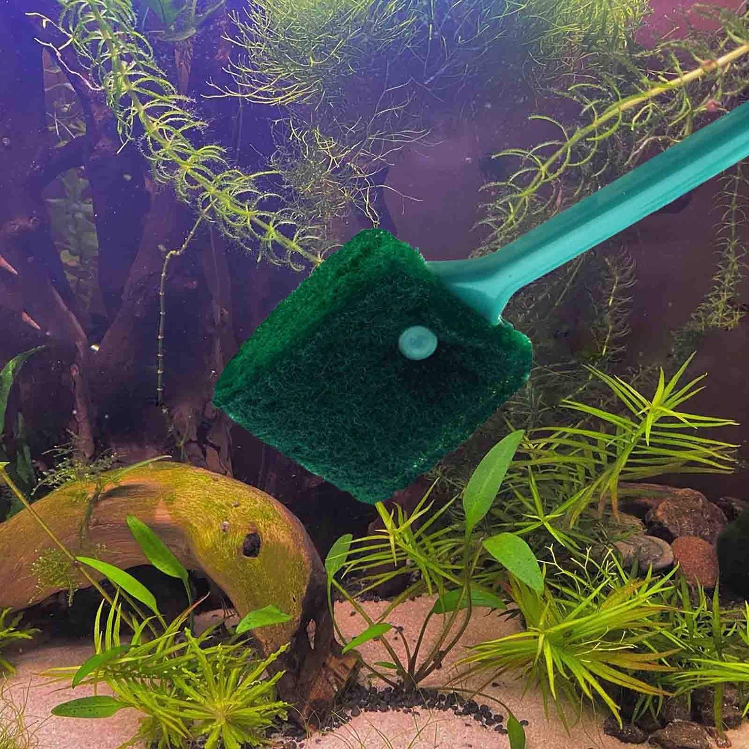 AOODOOM 3 PCS Double-Sided Aquarium Fish Tank Algae Cleaning Brush with Non-Slip Handle, Sponge Scrubber Cleaner for Glass Aquariums and Home Kitchen