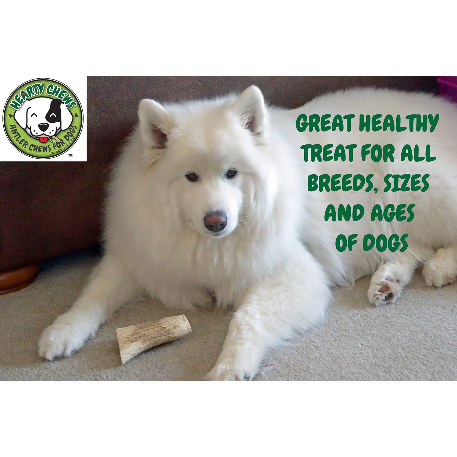 HEARTY CHEWS ELK Antler for Dogs | Natural Dog Chew | 100% Organic Grade A Antler Chew Bone, Supports Teeth & Gum Health, Long Lasting Dog Treat - Jumbo (About 9-11 inches)