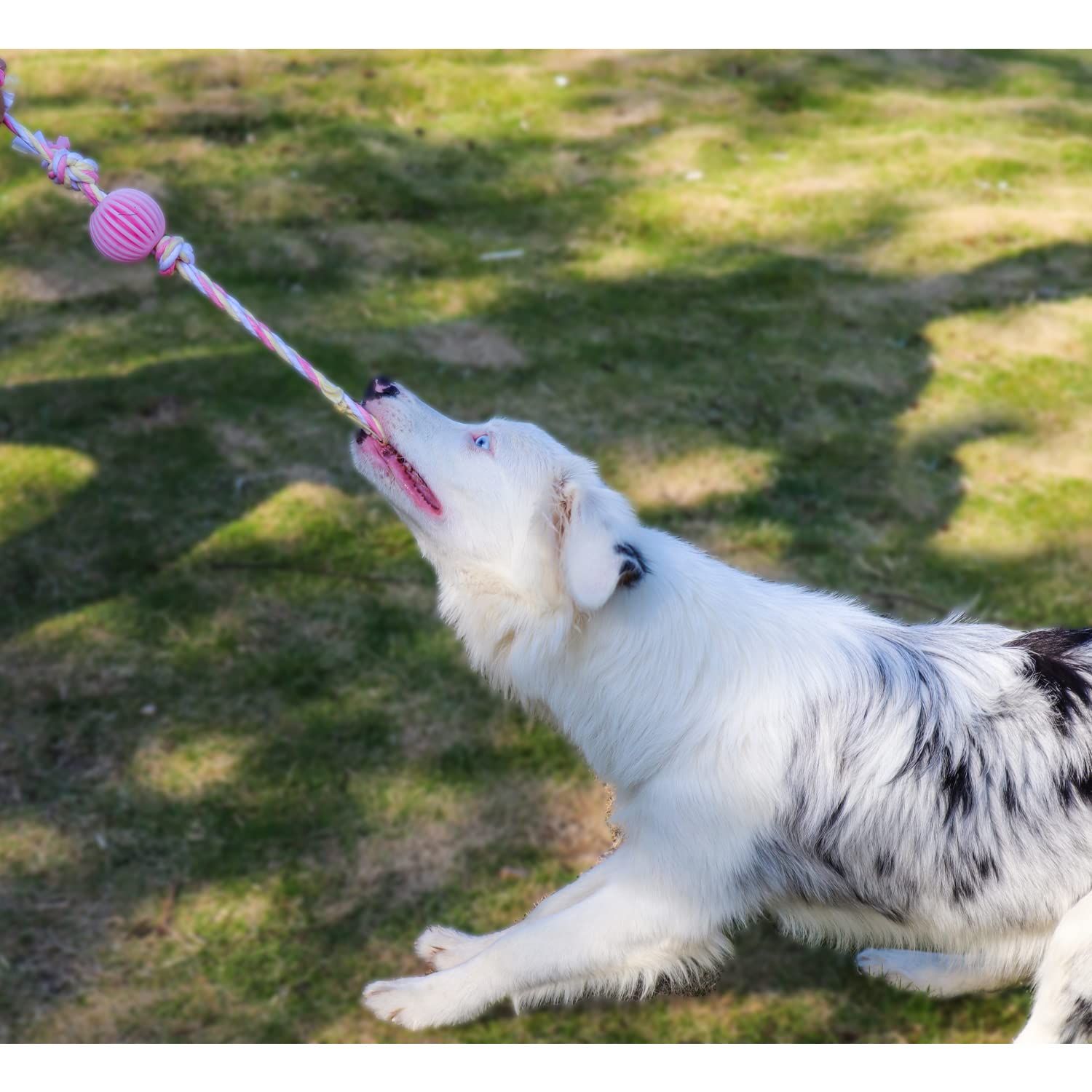 VIMIGOO Latex Dog Chew Toy,Rope and Ball Dog Toy,Dog Toy for Dog Training, Exercise, Agility, Chase (Ball)