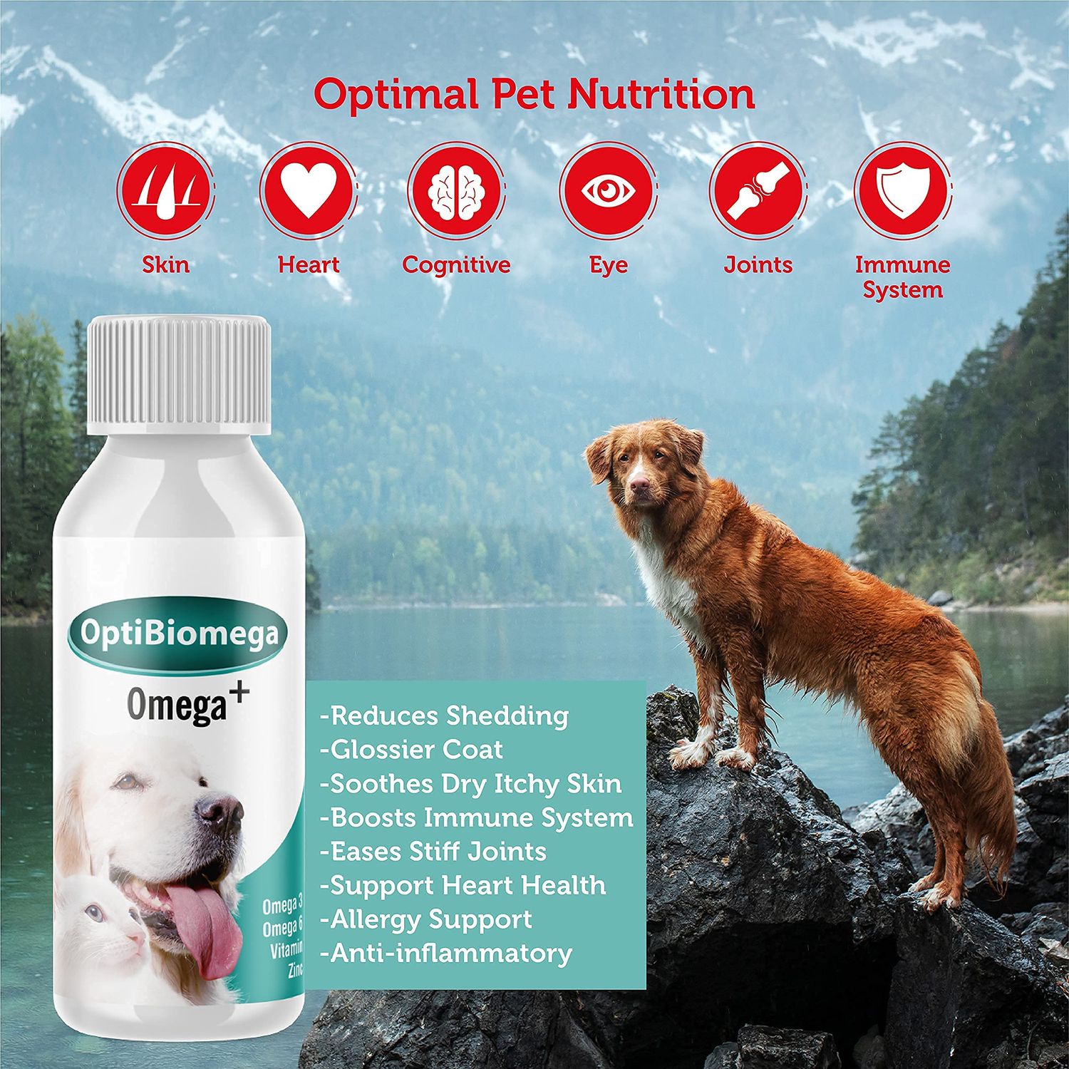 OptiBiomega Fish Oil for Dogs & Cats, Vitamins & Supplements Skin and Coat, Zinc, Omega 3 & Omega 6 Fatty Acids Support Immune Supplement, 3.38 fl oz