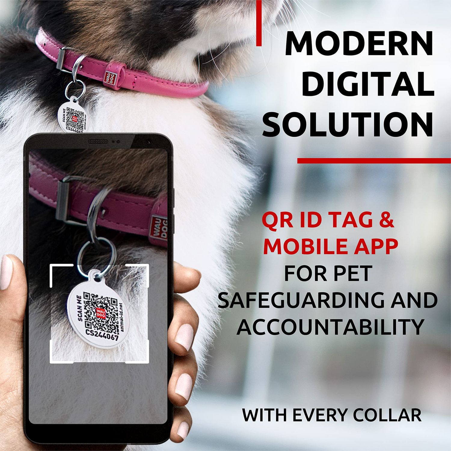 WAUDOG Ultra Soft Rolled Leather Dog Collar for Small Dogs - Soft Padded Dog Collars for Medium Dogs - Puppy Collars for Large Breed Dogs - Male and Female Dog Collar