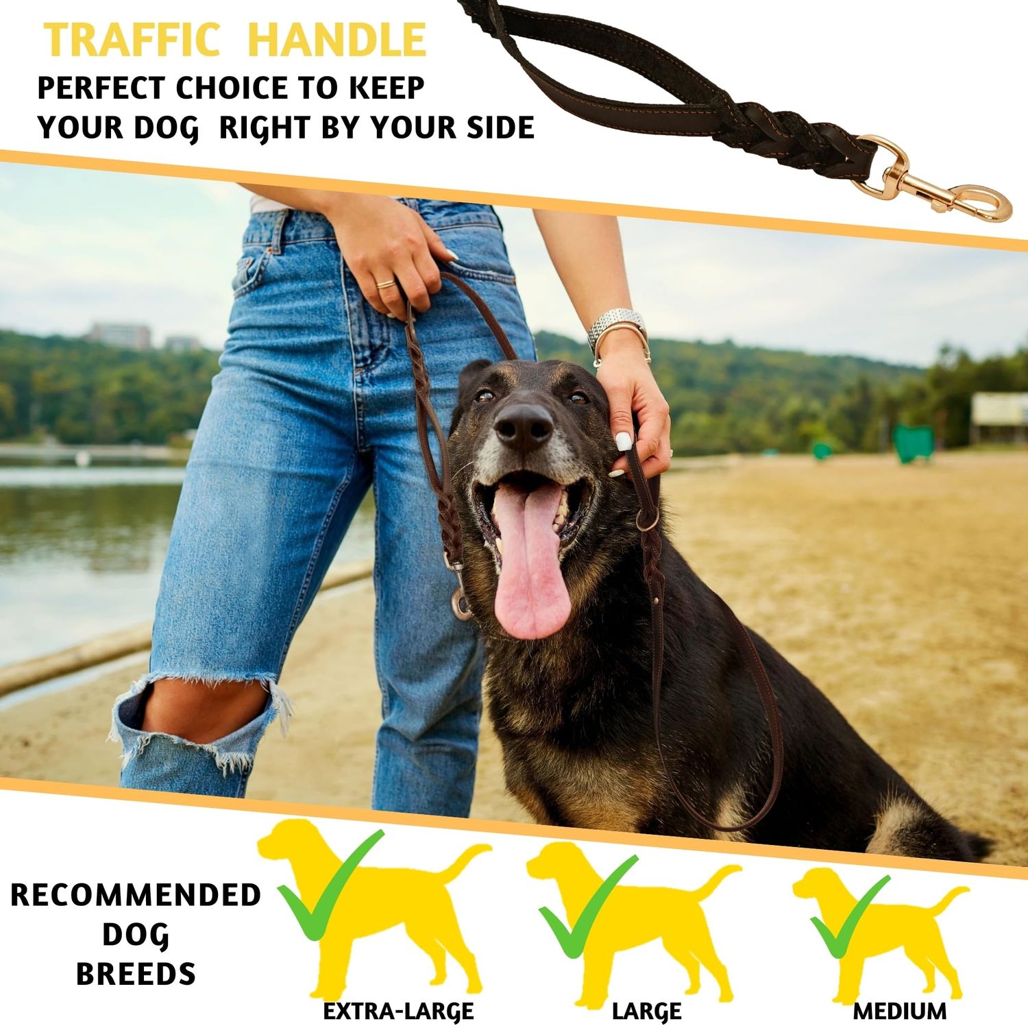 ADITYNA - Double Handle Leather Dog Leash 6ft - Heavy Duty Braided Dog Leash with Traffic Handle - Dog Lead for Training and Walking Medium Dogs (Two Handles 6 Foot x 3/4", Black)