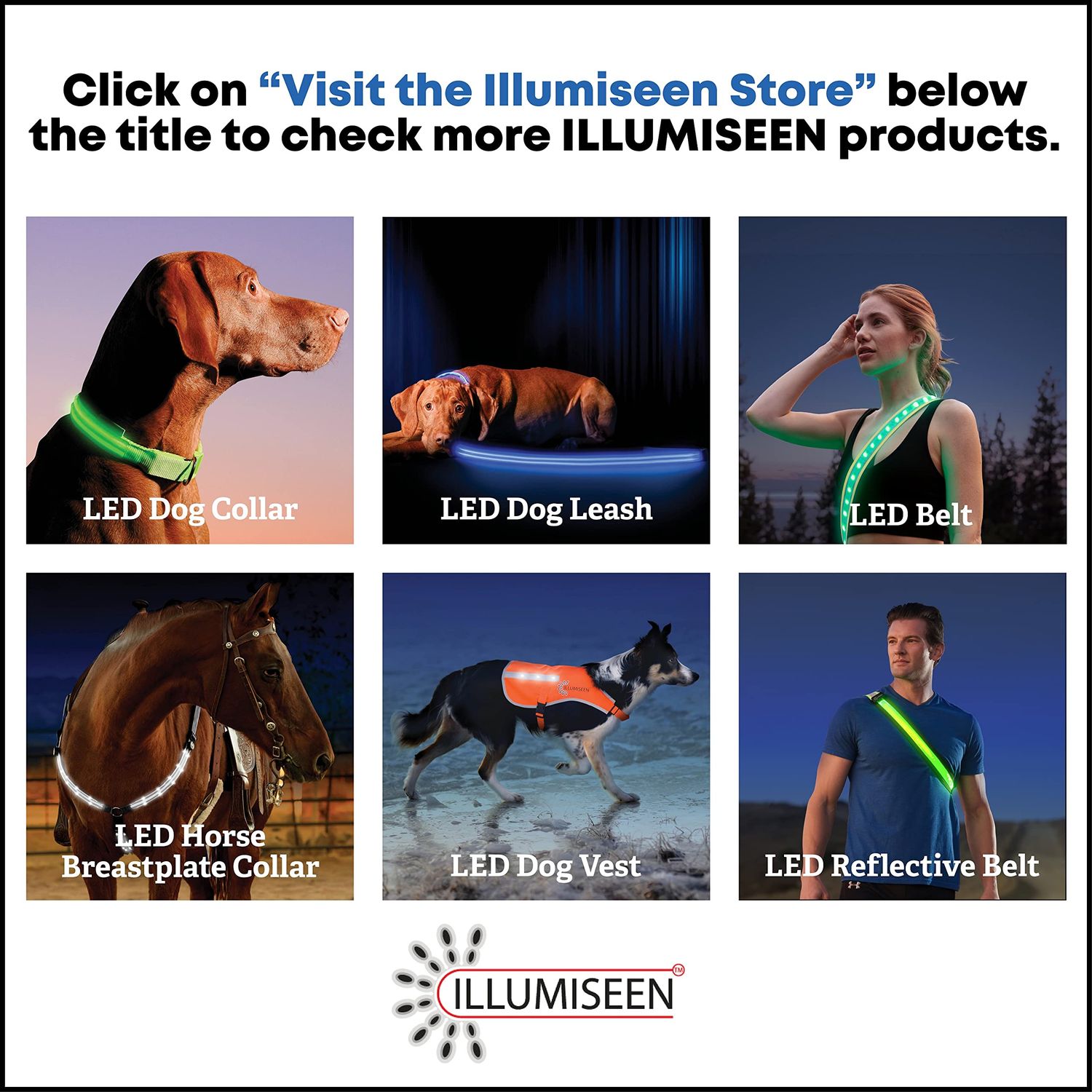 ILLUMISEEN LED Dog Collar USB Rechargeable ? Bright & High Visibility Lighted Glow Collar for Pet Night Walking ? Weatherproof, in 6 Colors & 6 Sizes (Red Medium)