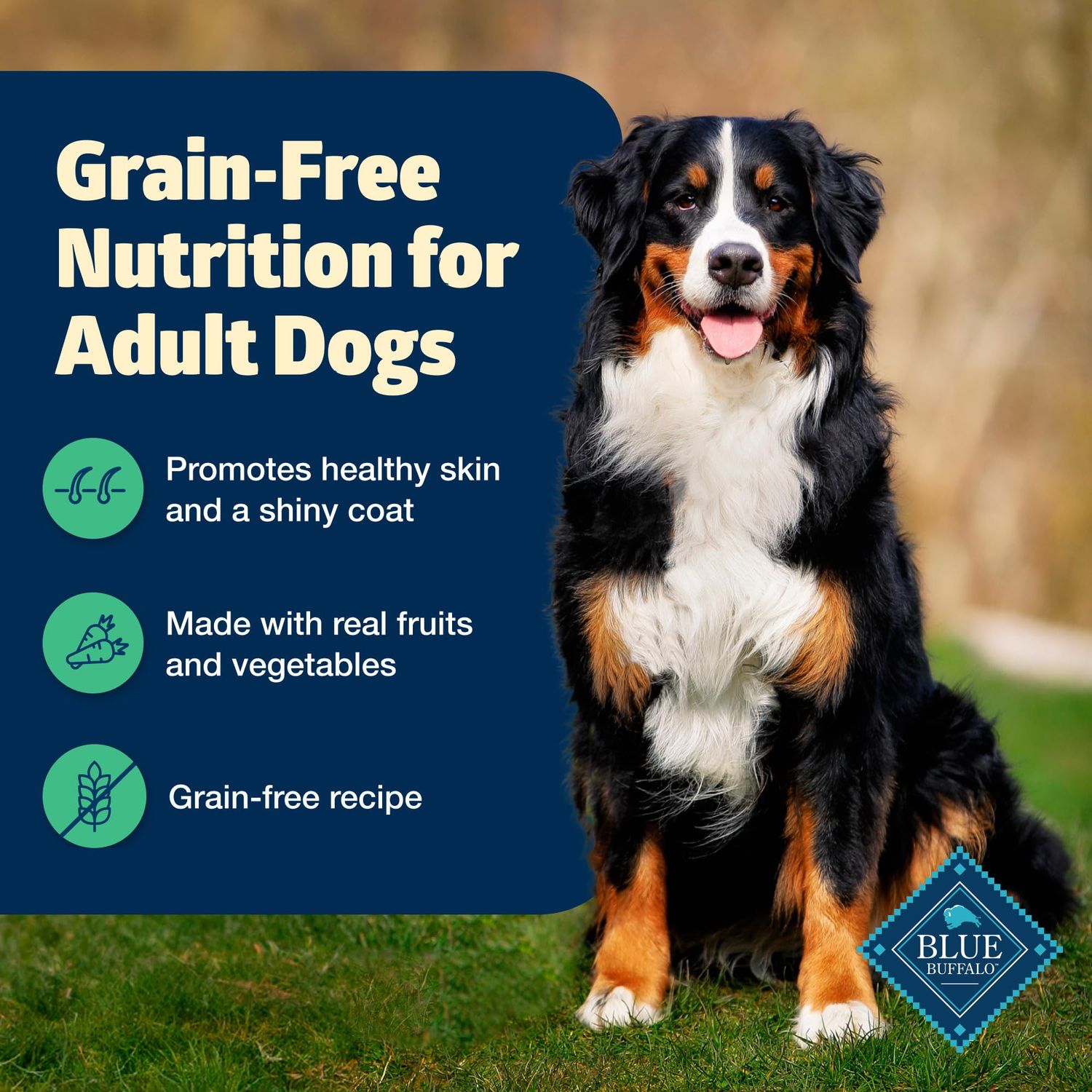 Blue Buffalo Freedom Grain-Free Dry Dog Food, Complete & Balanced Nutrition for Adult Dogs, Made in the USA With Natural Ingredients, Lamb & Potatoes, 11-lb. Bag