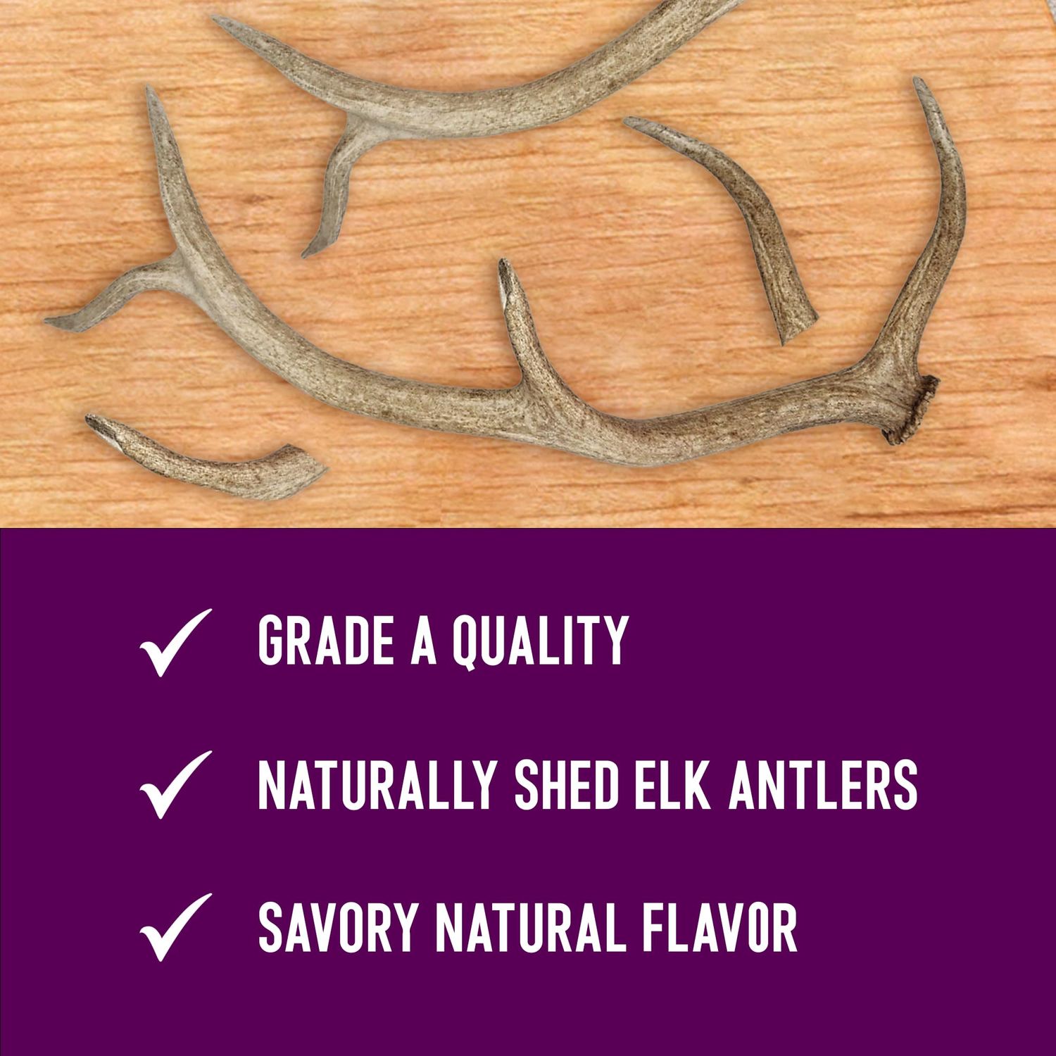 Health Extension Natural Elk Antlers for Dogs, Small Whole – Long-Lasting Chews for Aggressive Chewers, Dental Health Promotion, Ideal Puppy Training Treat