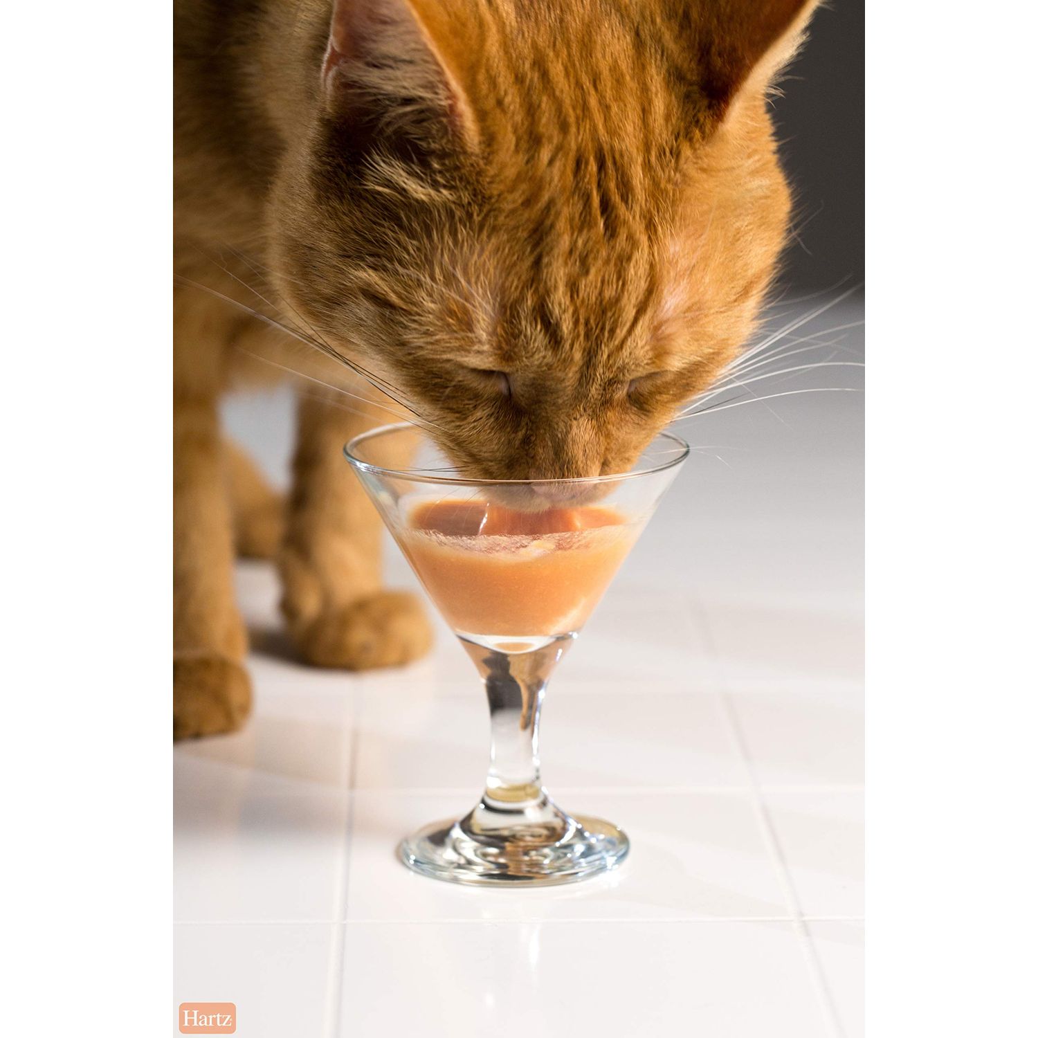 Delectables Bisque Lickable Wet Cat Treats - Tuna & Shrimp - 12 Pack
