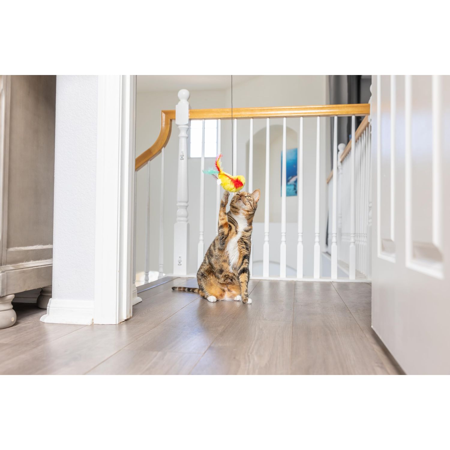 SPOT A-Door-Able Plush Bird Cat Toy | Rattle and Catnip Cat Toy Provides Hours of Entertainment for Your Cat | Hangs on Any Size Door Frame