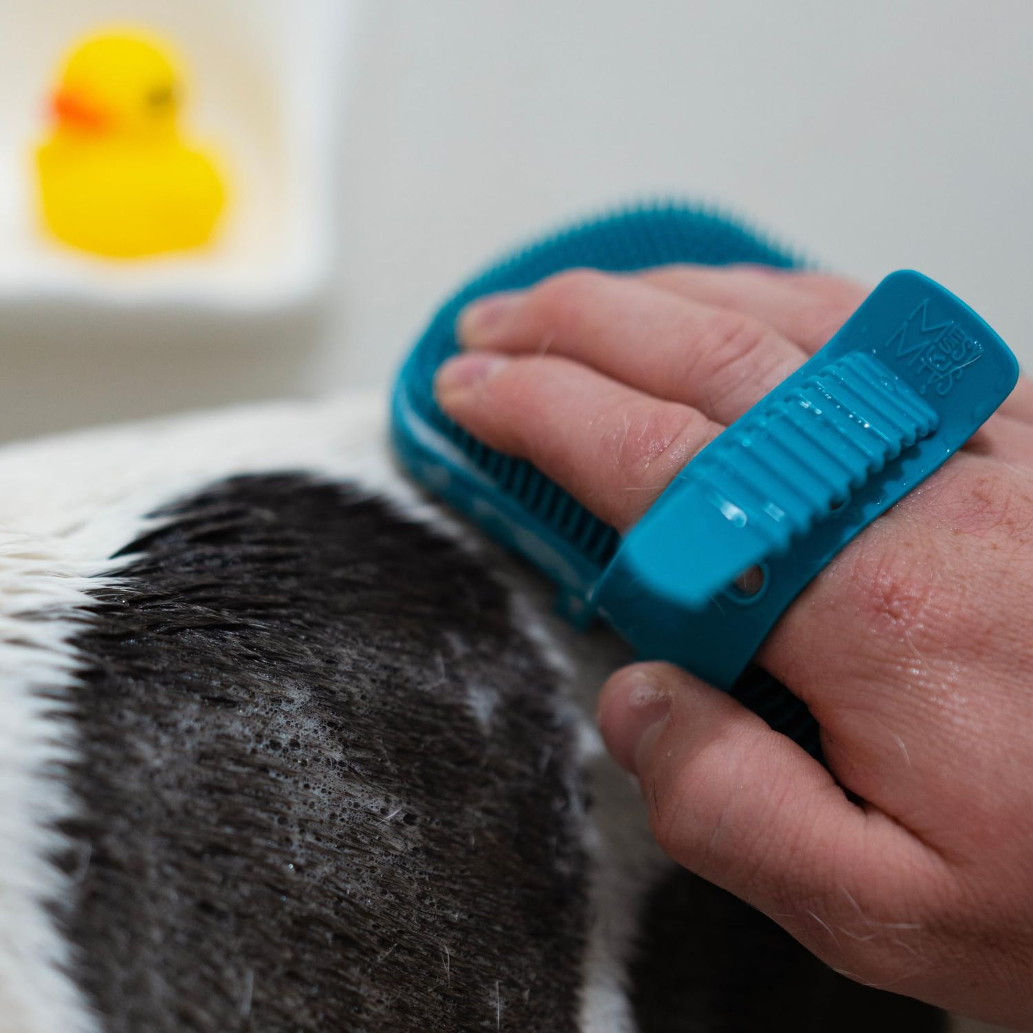 Messy Mutts Reversible Silicone Dual Sided Pet Grooming Brush | Gentle Massage, Brushing, Bathing and Dog Hair Removal Tool | One Size Fits All | Blue