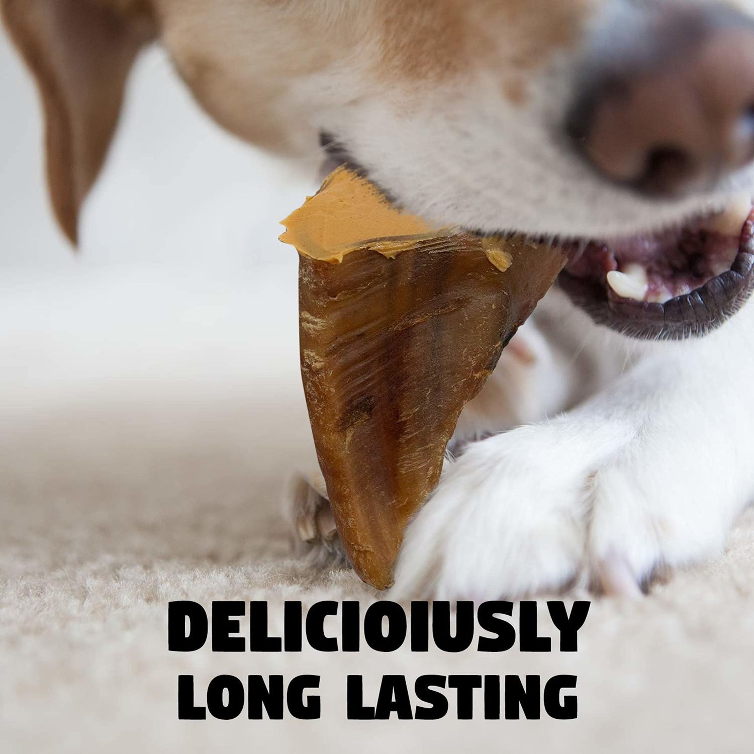 Downtown Pet Supply Dog Bones - Cow Hooves for Dogs Made in USA - Dog Dental Treats & Rawhide Free Dog Chews - Bully Sticks Alternative - Dog Chew Bones - Grass-Fed Beef Hooves - Plain - 10 Pack