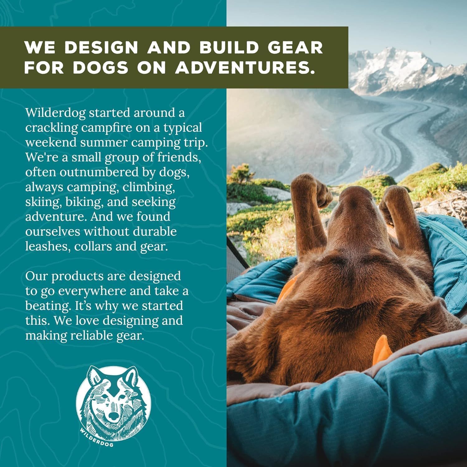 Wilderdog Dog Backpack with Built in Harness and Back-Mounted D-Ring Leash Attachment, Handle, Two Saddlebags with 4 Total Pockets, Built in Poop Bag Dispenser (Pacific Blue, Small)