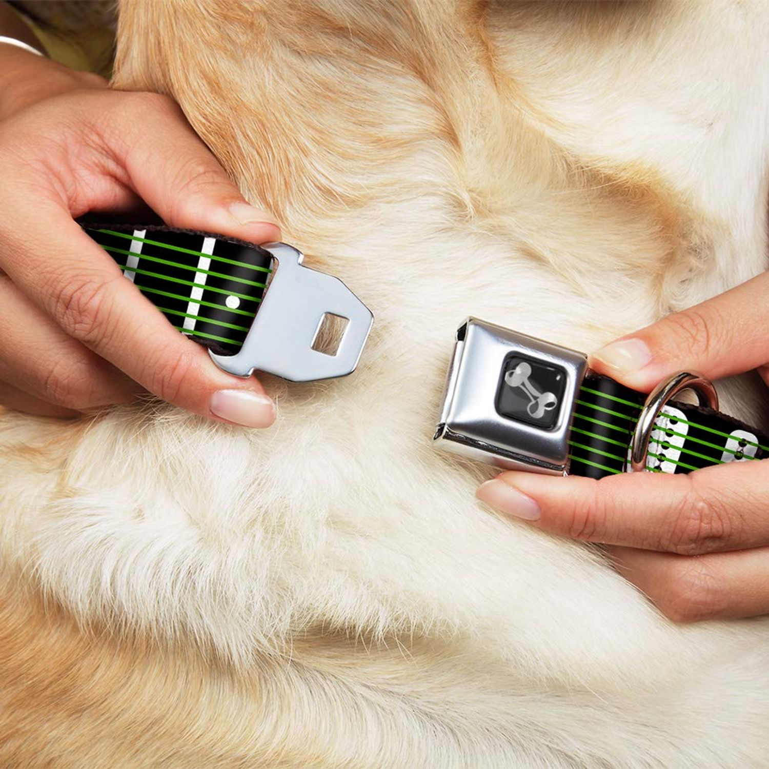 Buckle-Down Guitar Neck Black/White/Lime Green Dog Collar Bone, Wide Medium/16-23