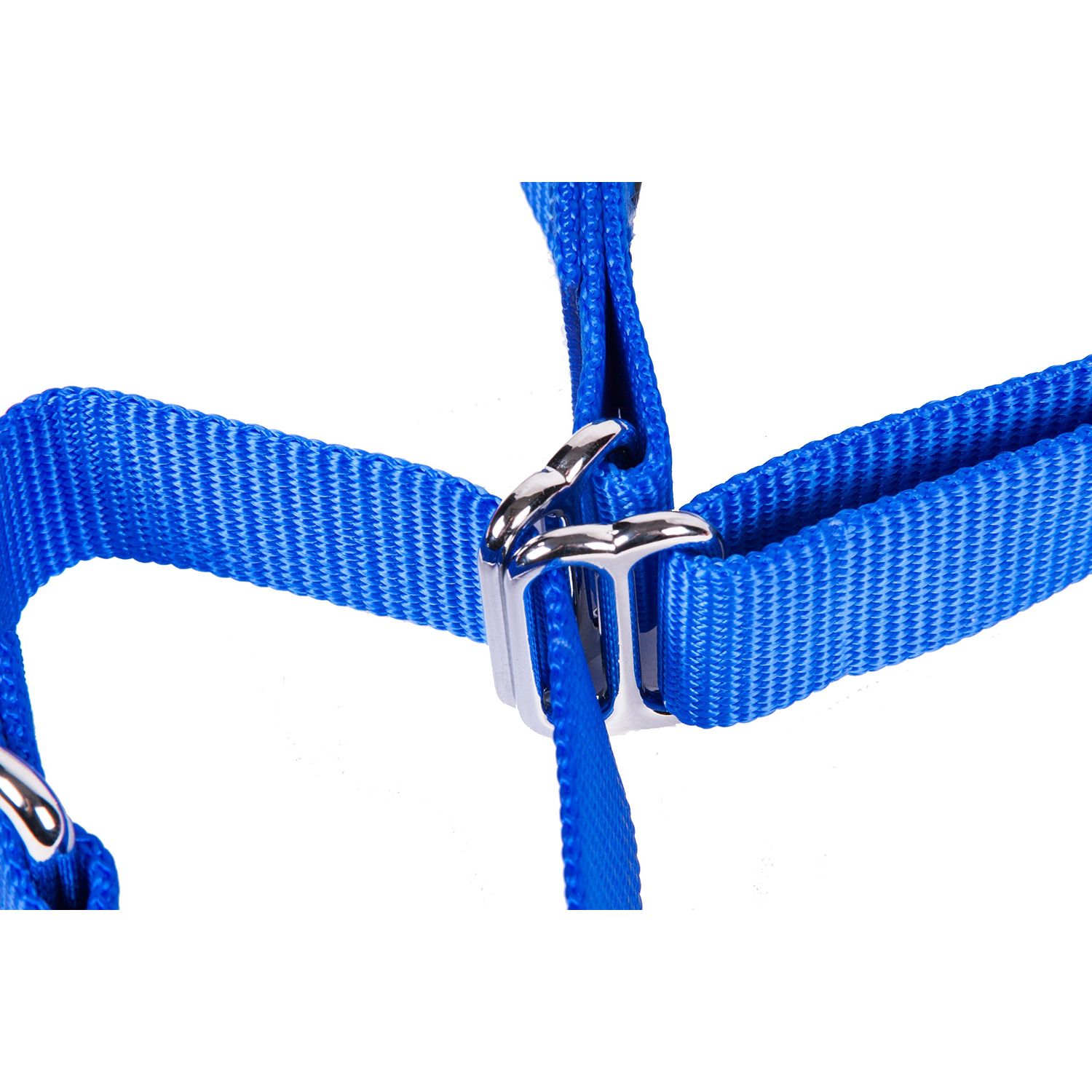 GoGo Pet Products GoGo 3/8-Inch Martingale Dog Collar, X-Small, Blue