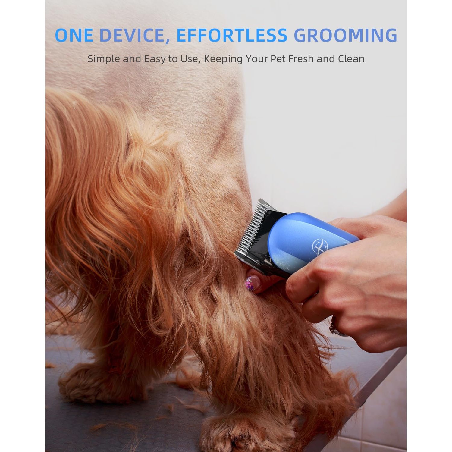 E-Hunter Professional Dog Grooming Clippers Kit, 24V High Power for Thick Coats, Quiet Dog Clippers with 10 Metal Guard Combs & Brush, Ideal Dog Hair Remover for Cats and Pets