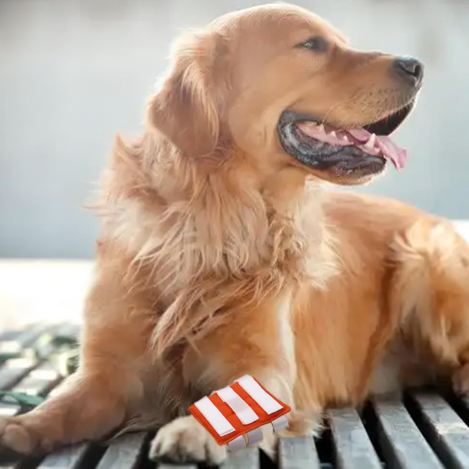 YUYUSO Dog Hot Spot Bandage Dog Leg Bandage No Chew Bandage for Dogs Leg Wound Care Help Licking of Hot Spots