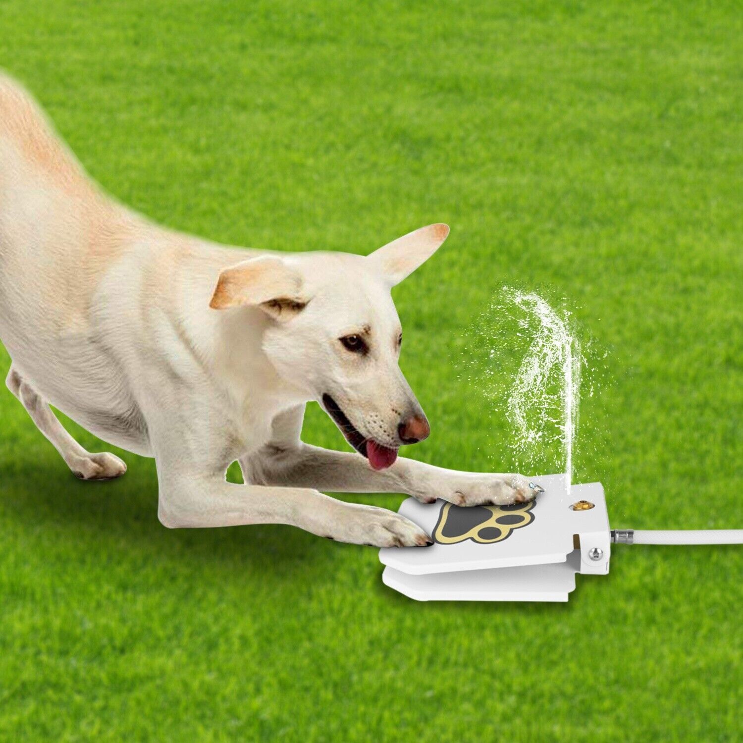 Dog Water Fountain Step-on Activated Sprinkler Toy for Drinking Fresh Water
