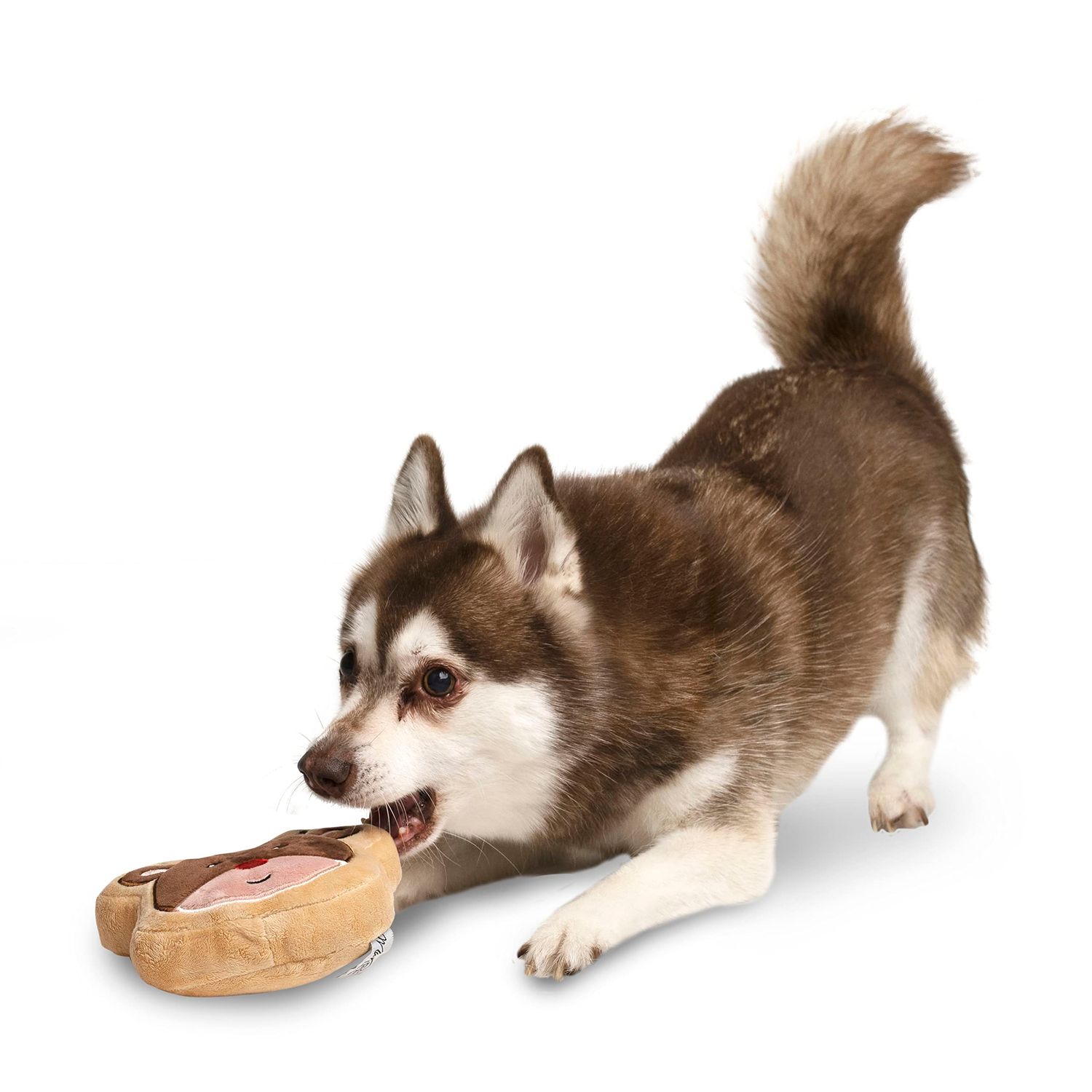 Midlee Reindeer Sugar Cookie Dog Toy (Small)