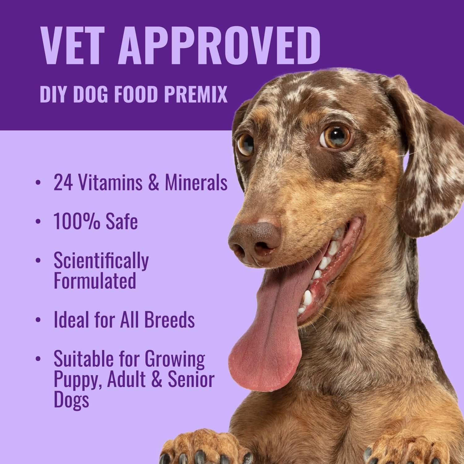 Azestfor Homemade Dog Food Vitamins Pre-Mix Powder – 24 Essential Nutrients – Supplement for Raw, Barf & Grain Free – for All Breeds & Ages – 16oz Veggie Flavored