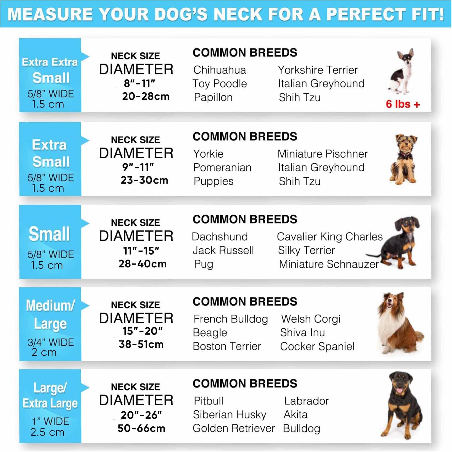 Pawtitas Lumberjack Padded Martingale Collar for Dogs | Soft Neoprene Dog Collar for Your pet's Comfort Made with Reflective Band for Maximum Visibility | Fits Small and Large Pets - Large Blue