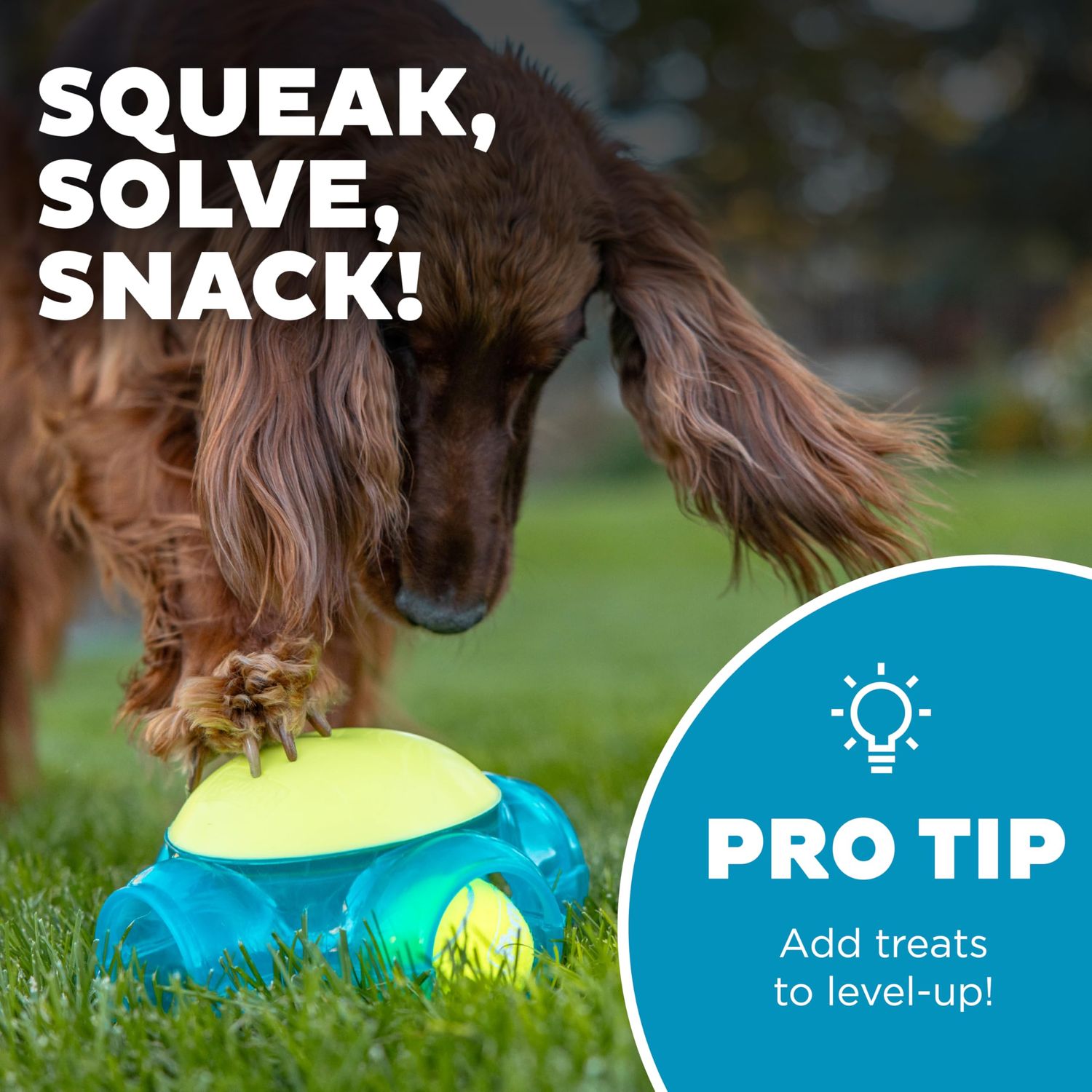 Outward Hound Tennis Maze Craze Interactive Squeaky Dog Toy, Green
