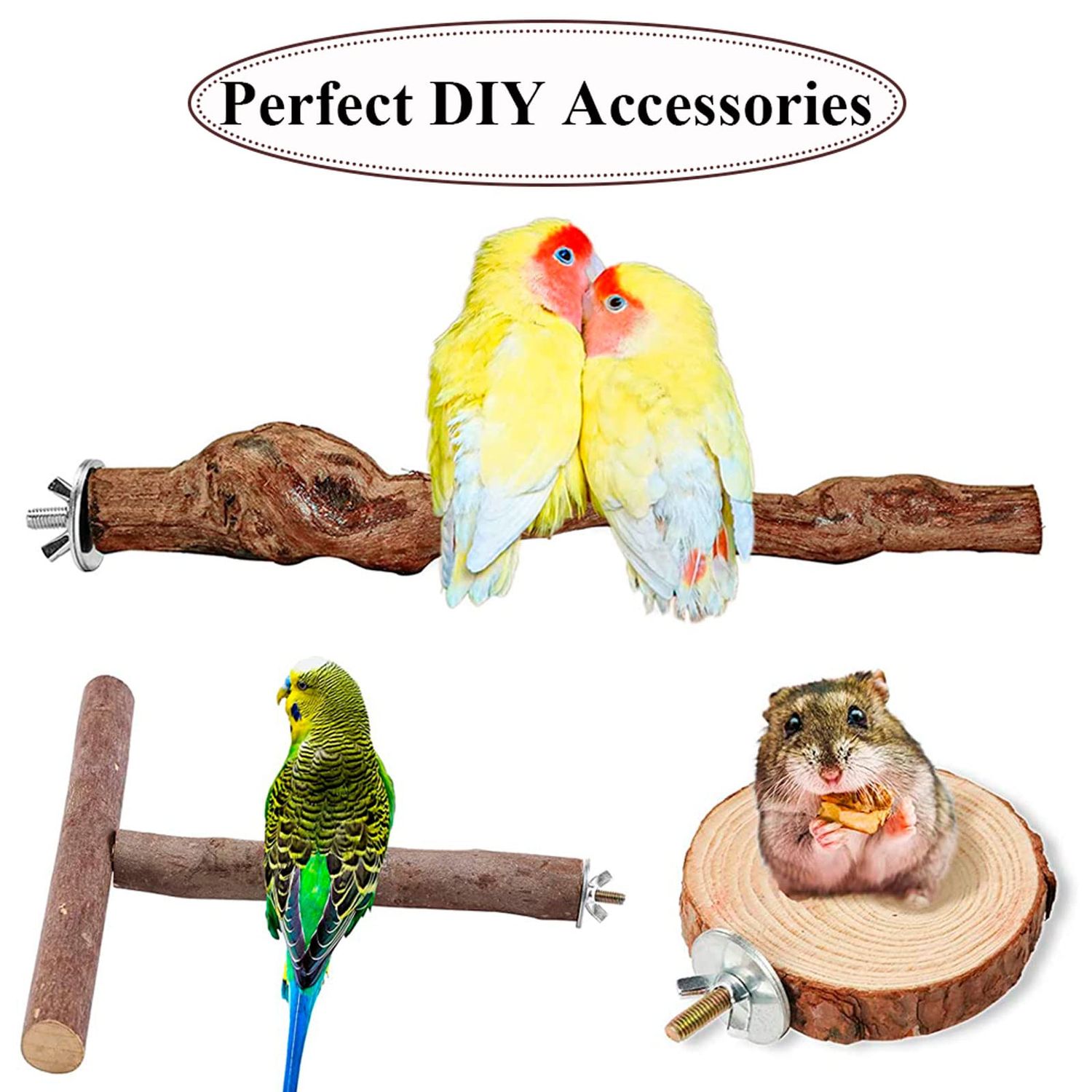 12 Sets Bird Cage Screws Bird Perch Stand Platform Accessories 24 Washers 12 Screws 12 Wing Nuts Hardware for Fixing Bird Playground Perch Food Bowls Feeder Breeding Box
