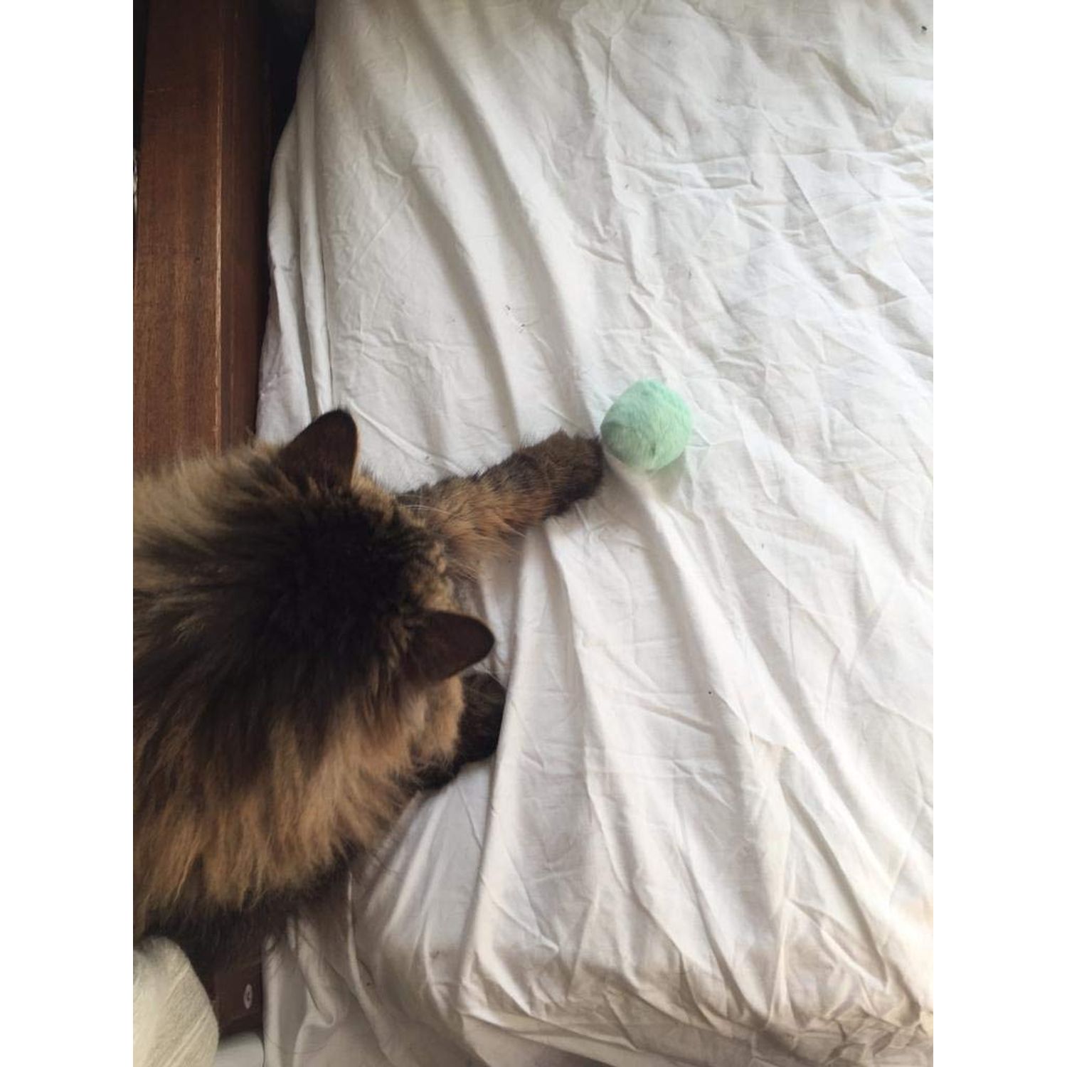 BALLMIE Cat Toys Ball Cat Toys Balls with Bell Eco-Printing Baby Clothing