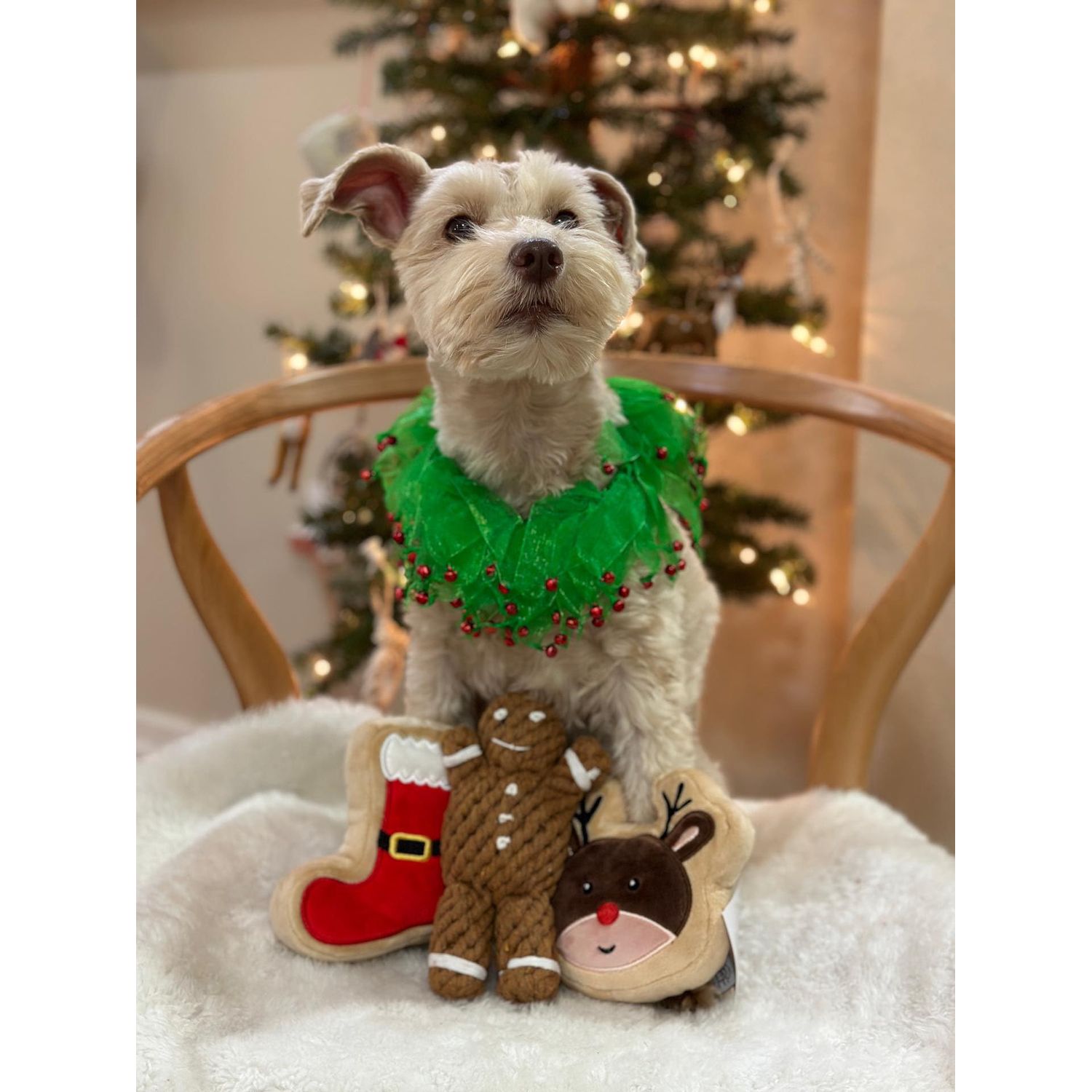 Midlee Wreath Jingle Bell Decorative Dog Collar (Medium)