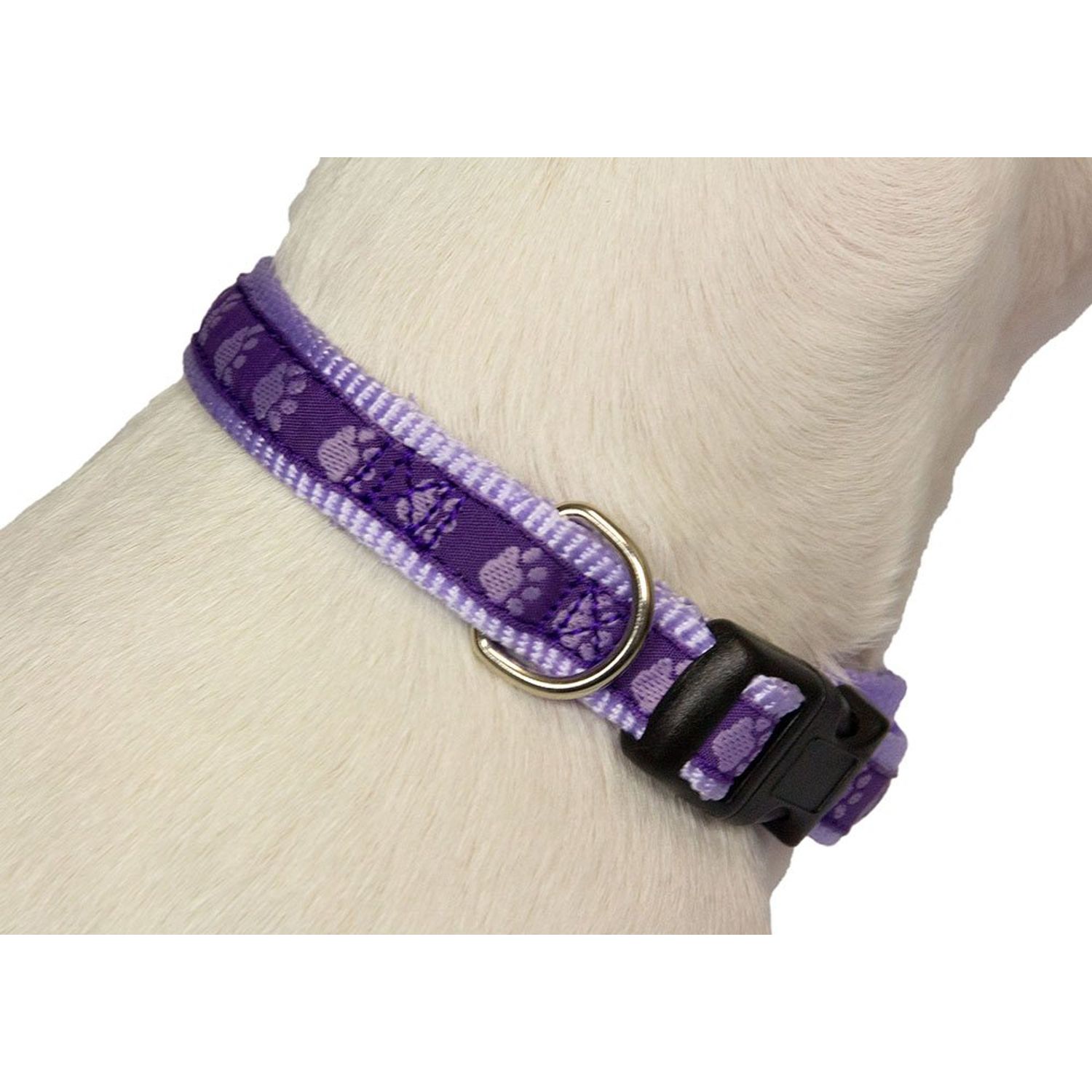 Purpletopia Paw Print Dog Collar