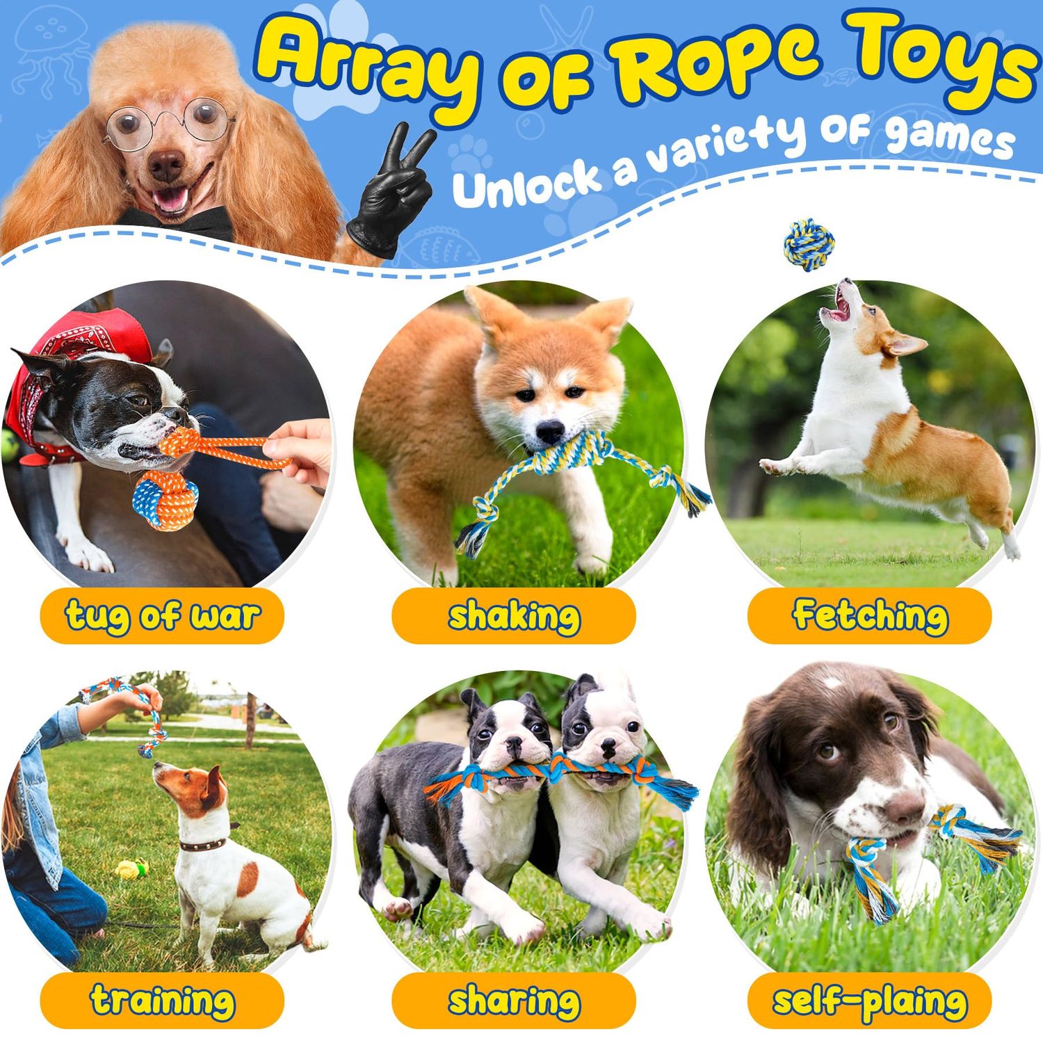 Eefitoys Puppy Toys 23 Pack, Interactive Dog Toys for Puppy Teething, Puppy Chew Toys with Squeaky Plush Toys, Rope Toys and Dog Treat Balls, Puppy Teething Toys for Small Dogs