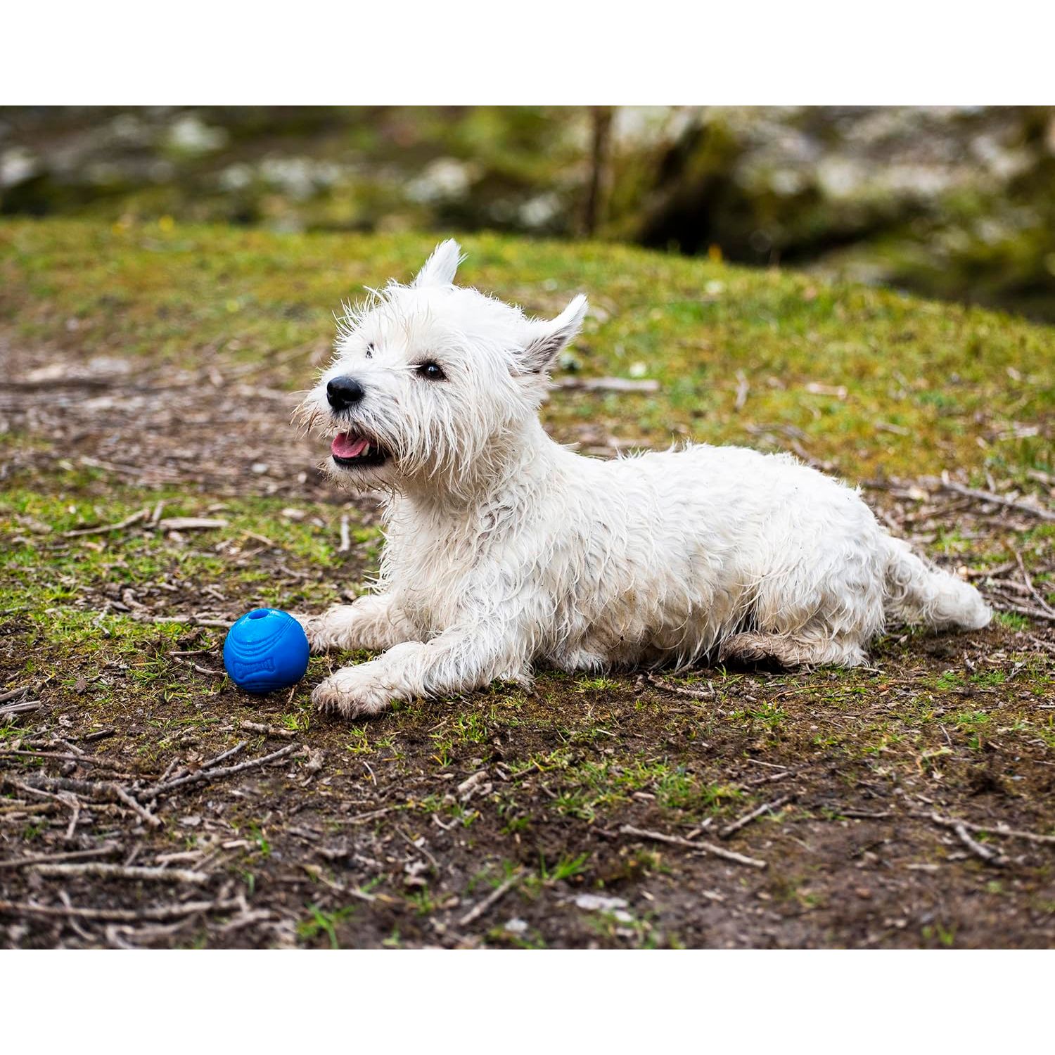 Chuckit! Crunch Ball Dog Toy, Medium (Pack of 2)