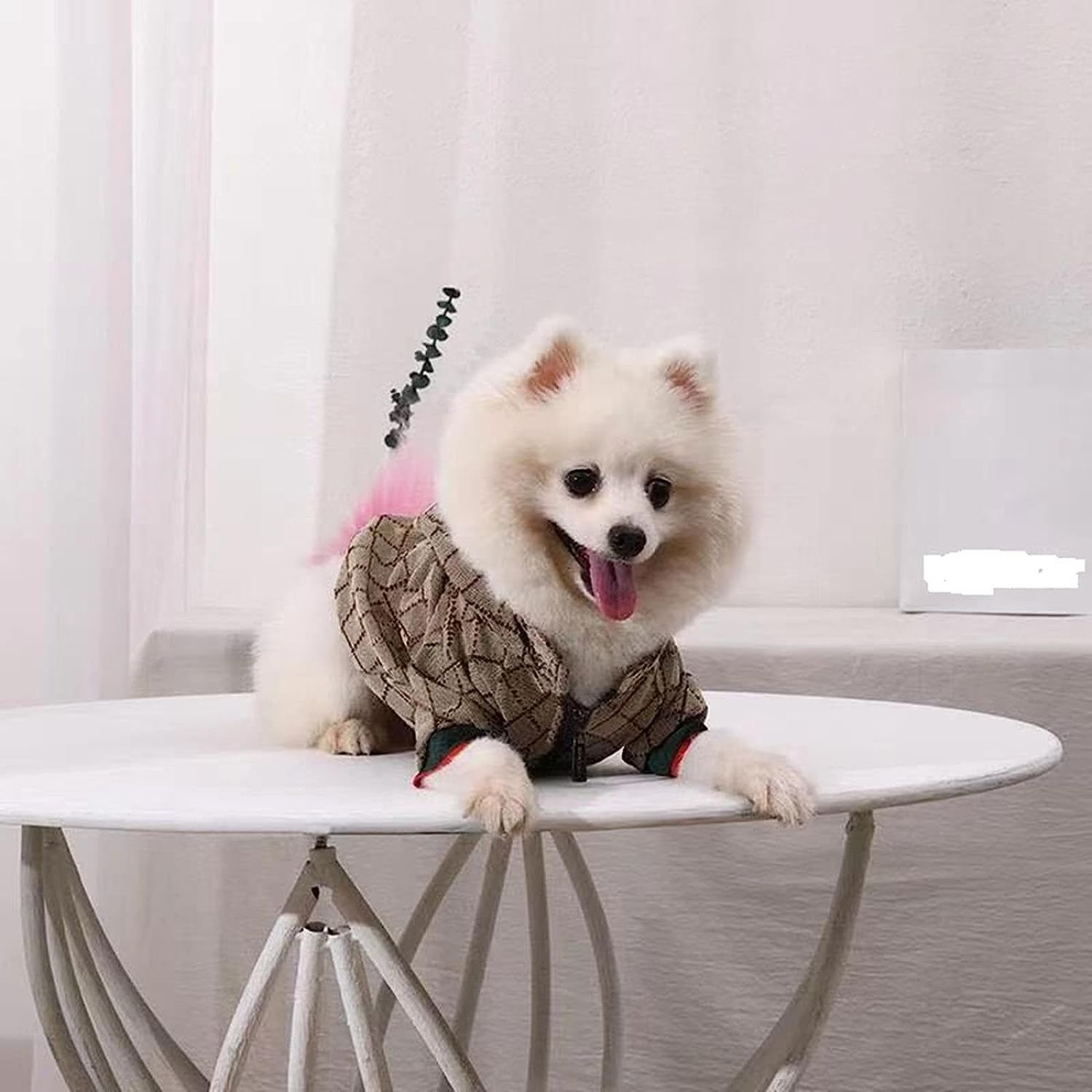 HQREA Dog Hoodie Luxury Winter Small Dog Jacket Clothes Classic Designer Warm Pet Coats Zipper Design Easy On/Off French Bulldog Teddy Pug Puppy Clothes(S)
