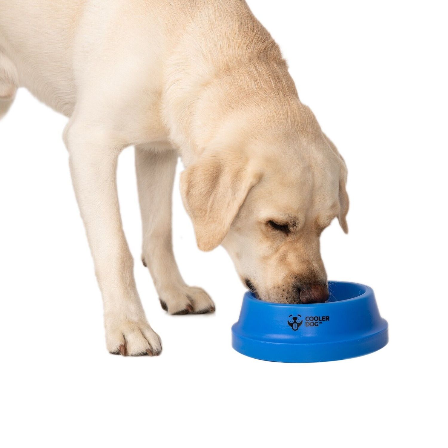CoolerDog Freezable Dog Bowl