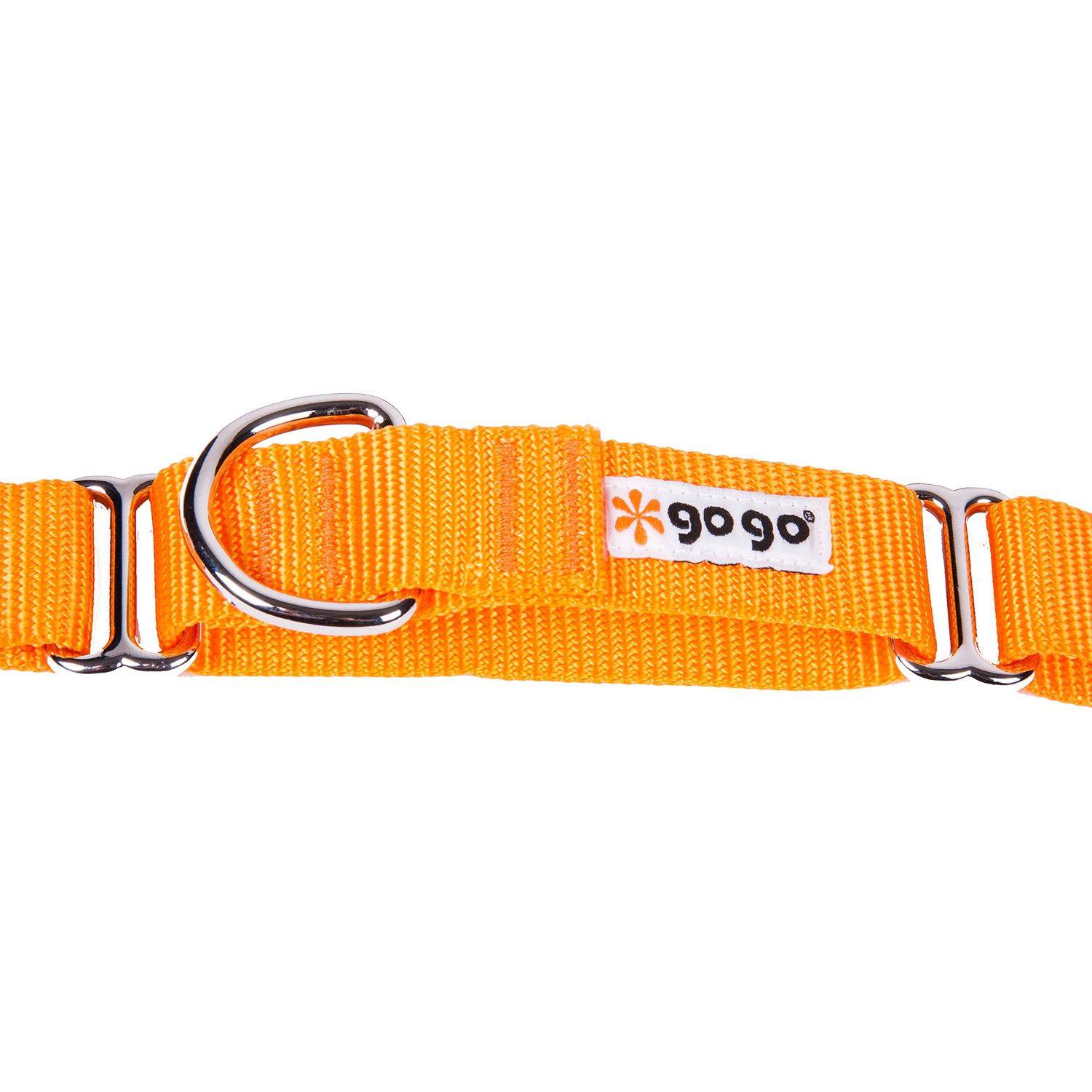 GoGo Pet Products GoGo 3/4-Inch Martingale Dog Collar, Medium, Orange