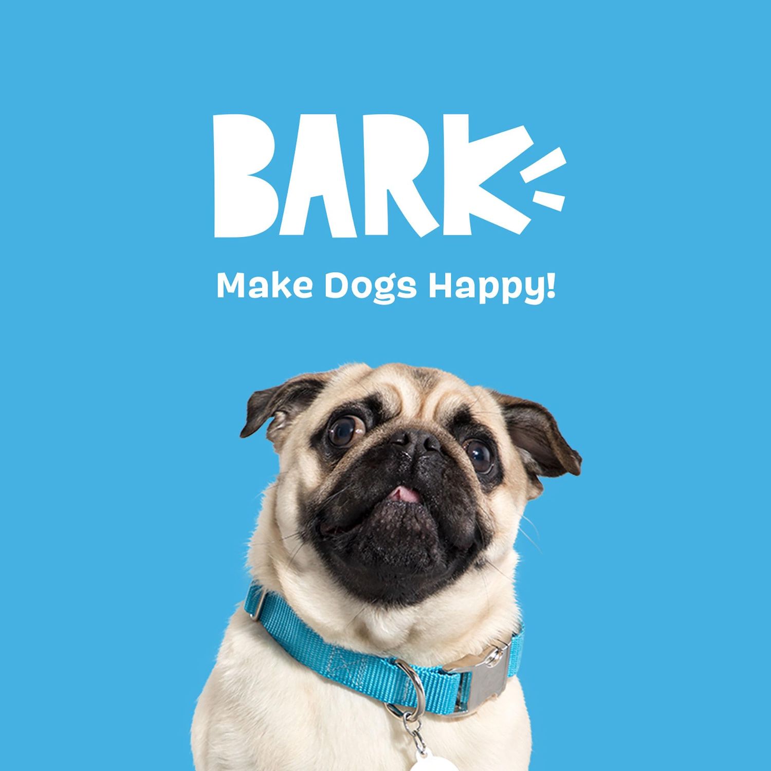 Barkbox Bright Original Dog Dental Chew Sticks, Plaque and Tartar Cleaning - Small Breeds (30 Chews)