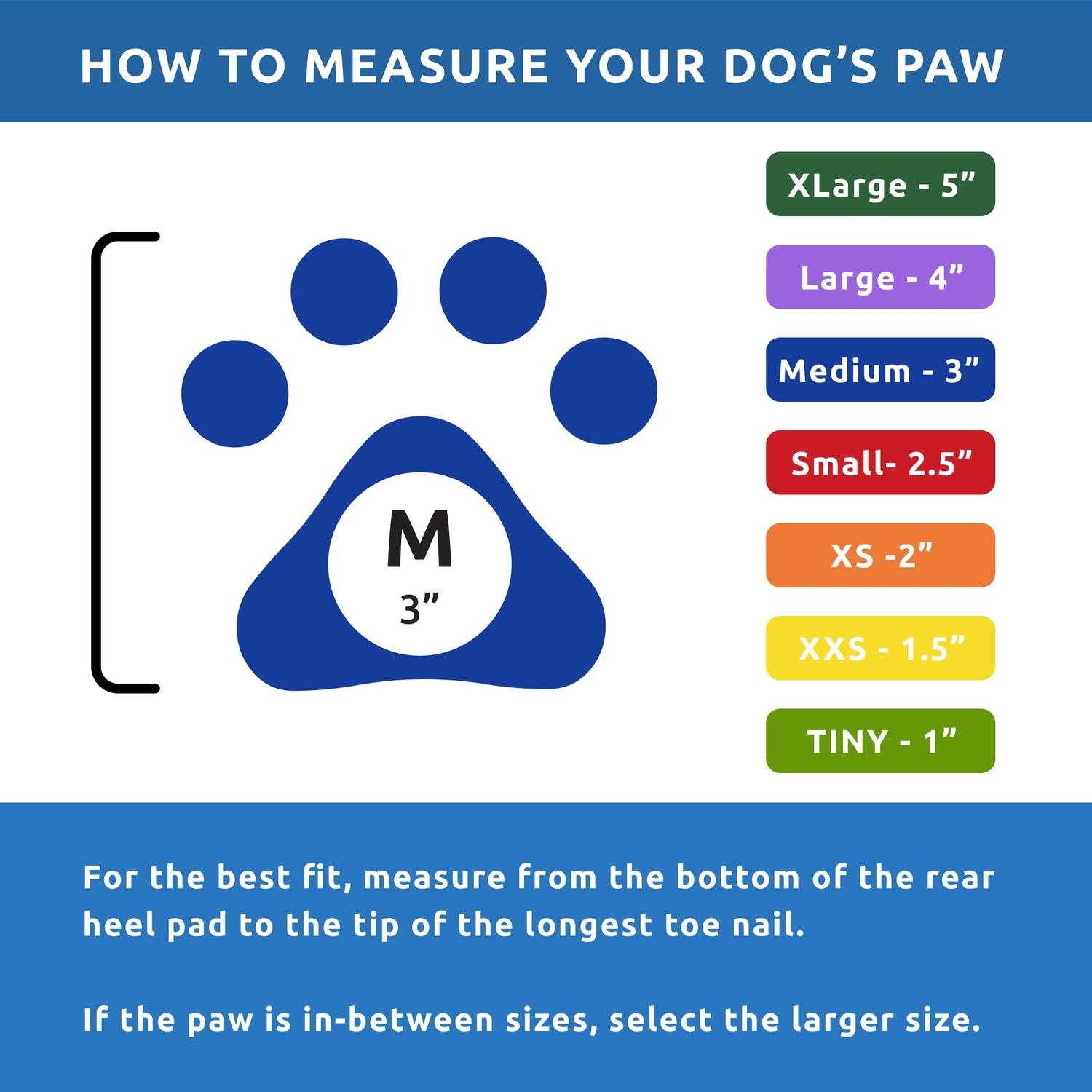 PawZ Rubber Dog Boots for Paws to 3" - All-Weather Dog Booties for Hot Pavement, Sand, Snow, Mud, and Rain - Anti Slip Dog Socks - M, Blue
