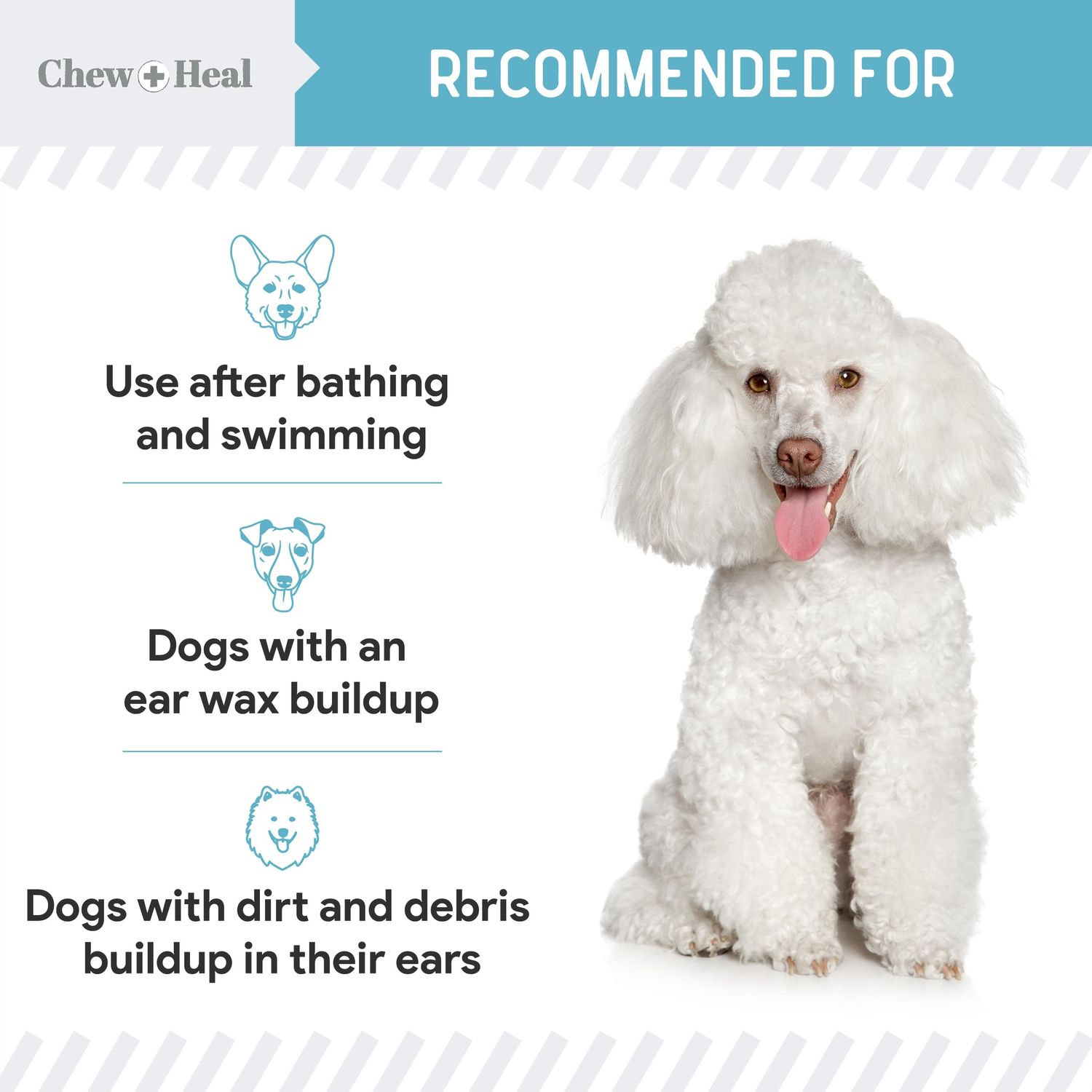 Chew + Heal Dog Ear Cleaner Solution - 4 oz Droppers (2 Pack) - Pet Ear Wash Drops for Preventing Infection and Removing Debris - Soothing Aloe, Witch Hazel, and Tea Tree Oil