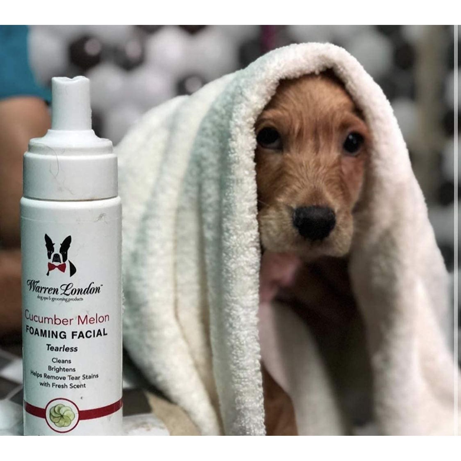 Warren London Foaming Pet Facial | Tear Free Dog Face Wash | Tearless Dog Shampoo for Faces & Dog Eye Stain Remover | Refreshing Cucumber Melon Wash | Made in USA | 8oz